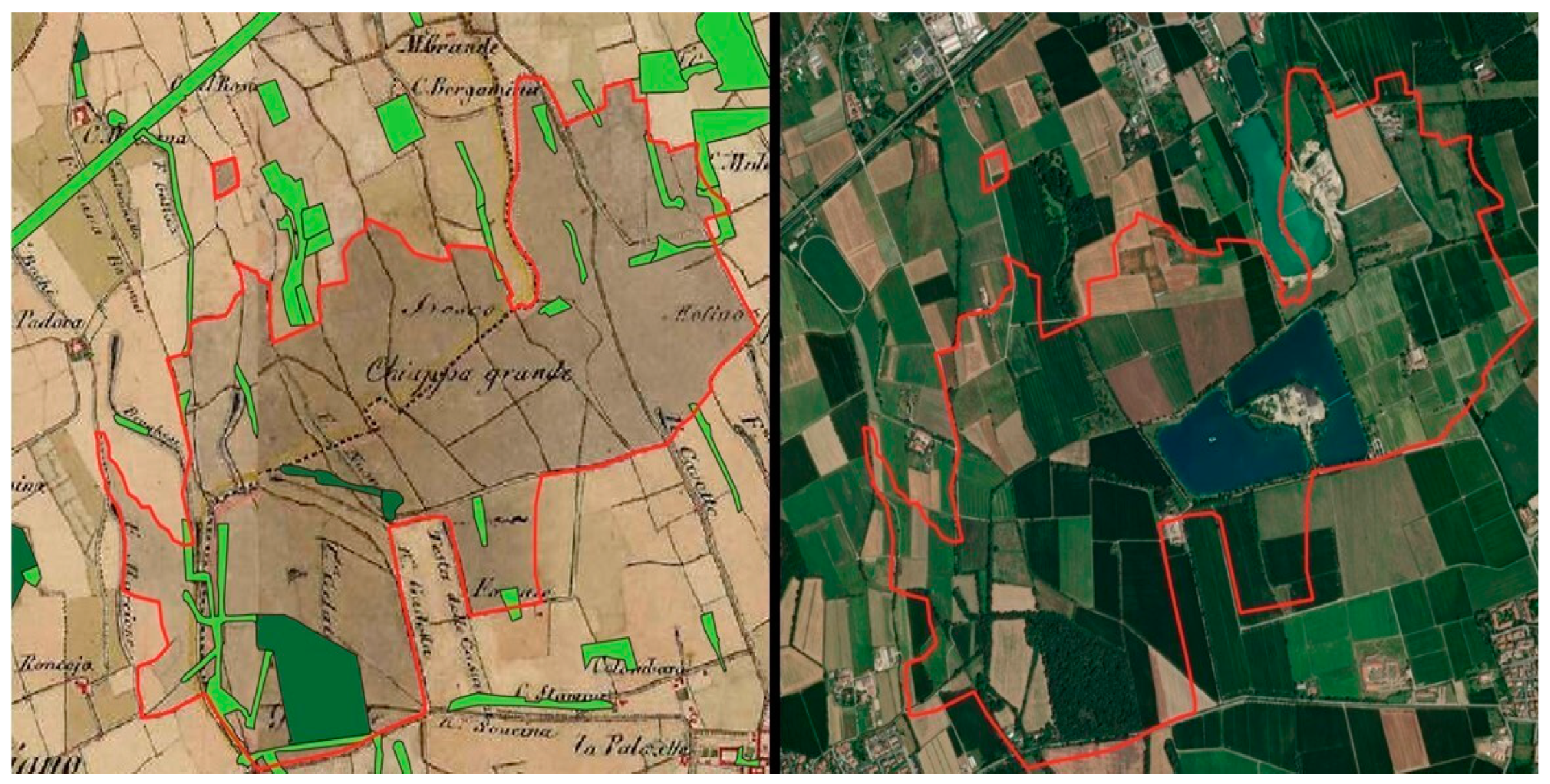 Plants 14 00404 g003