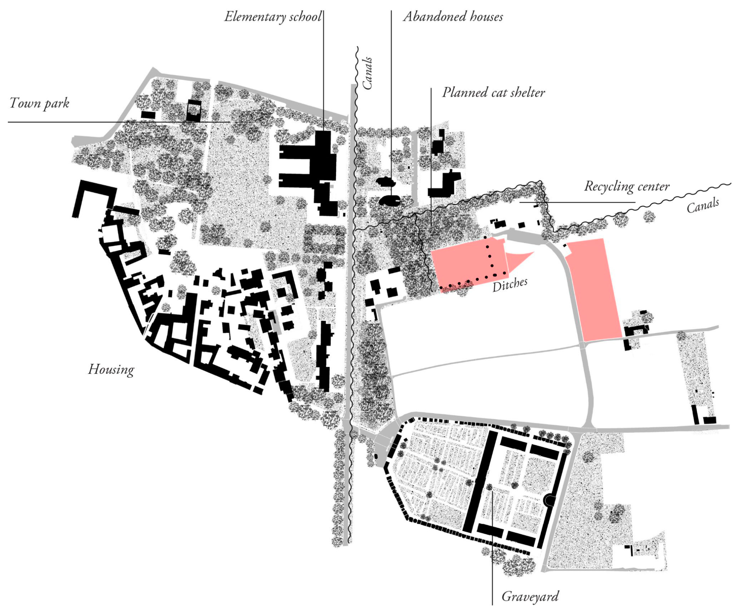 Plants 14 00404 g004