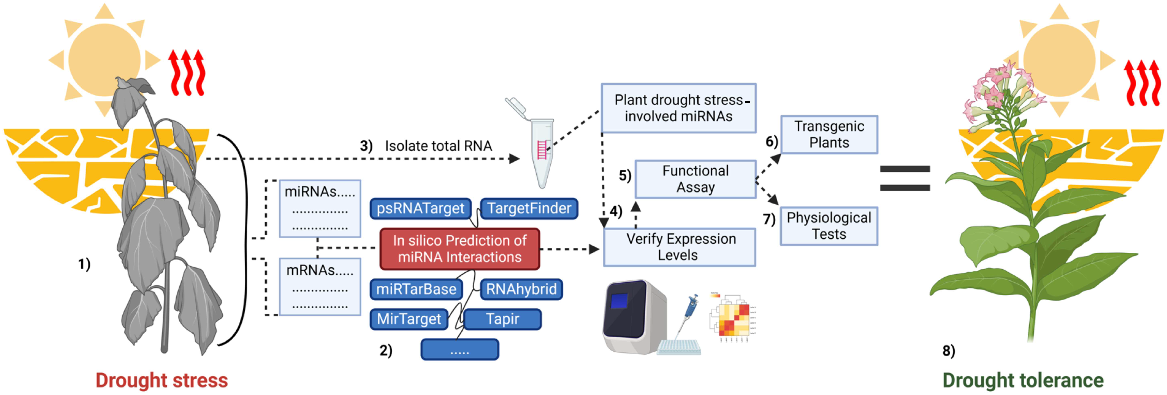 Plants 14 00410 g003