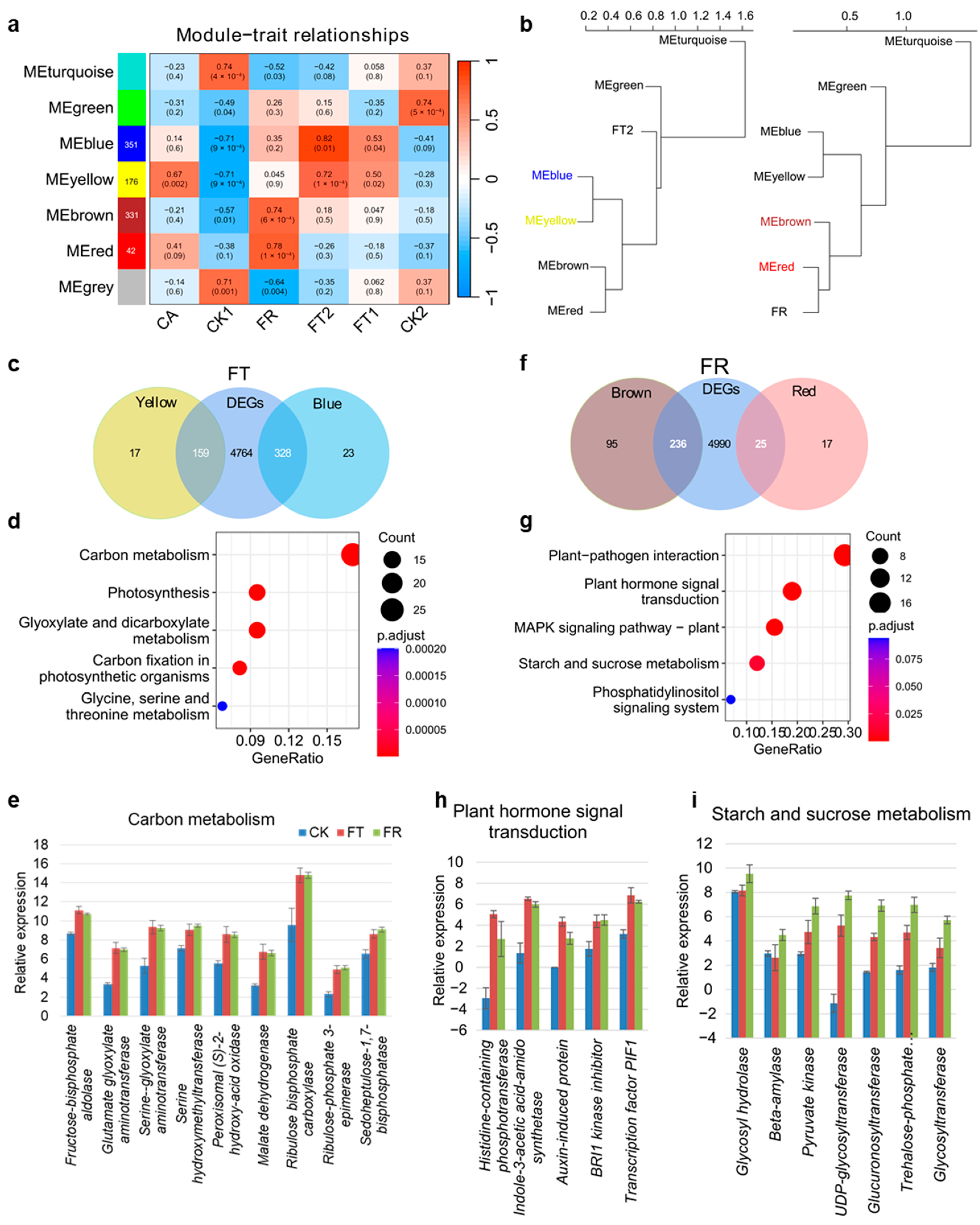 Plants 14 00412 g002