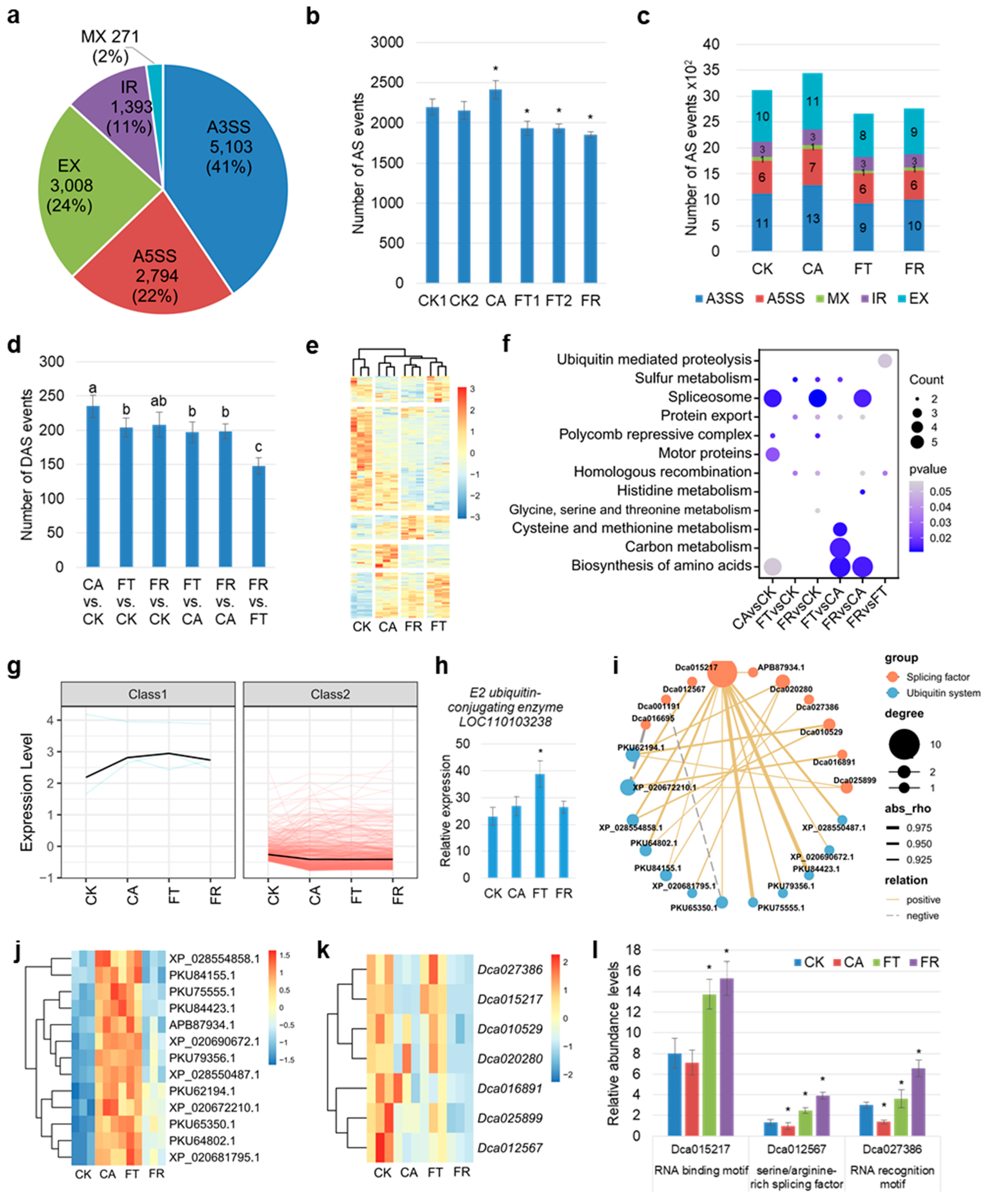 Plants 14 00412 g004