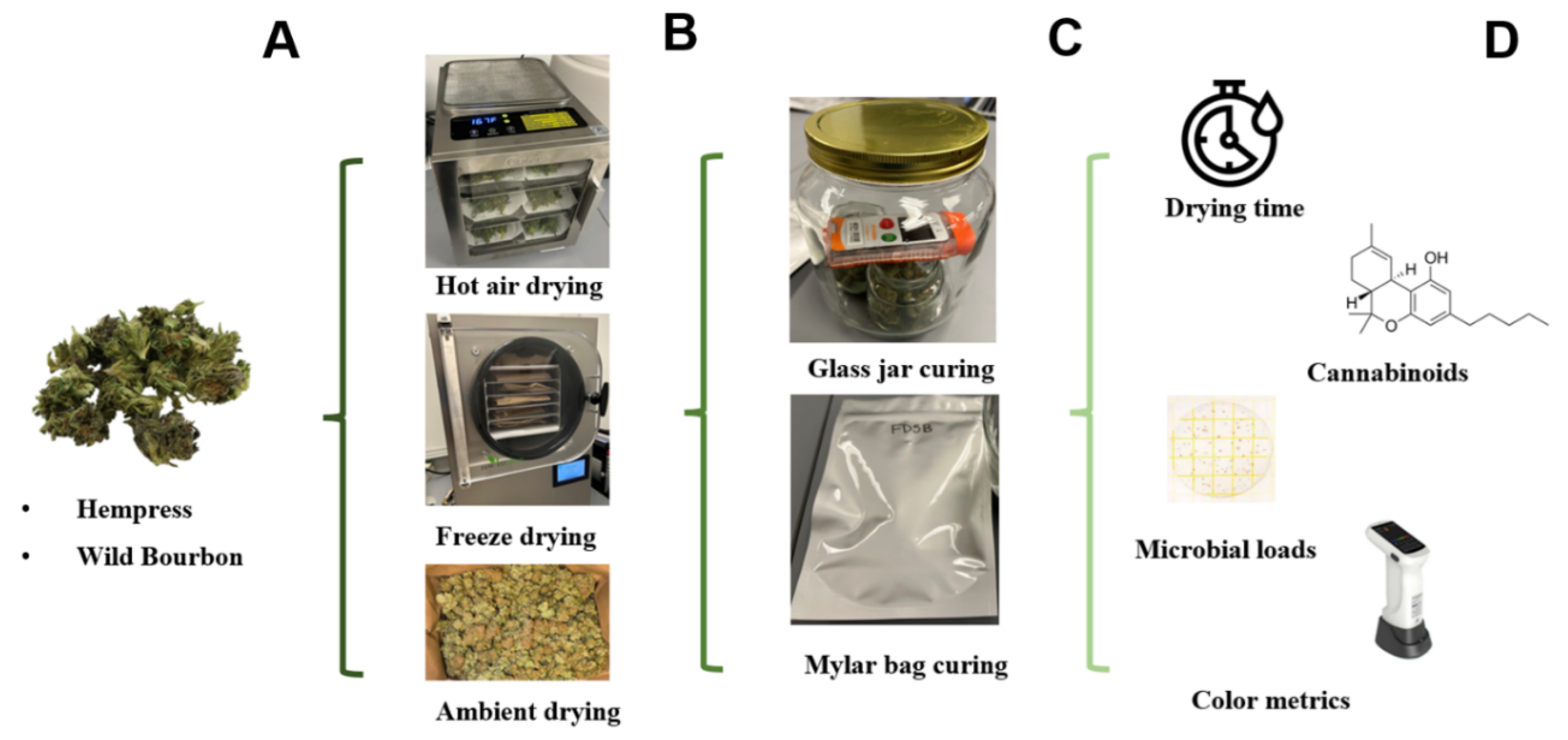 Plants 14 00414 g006