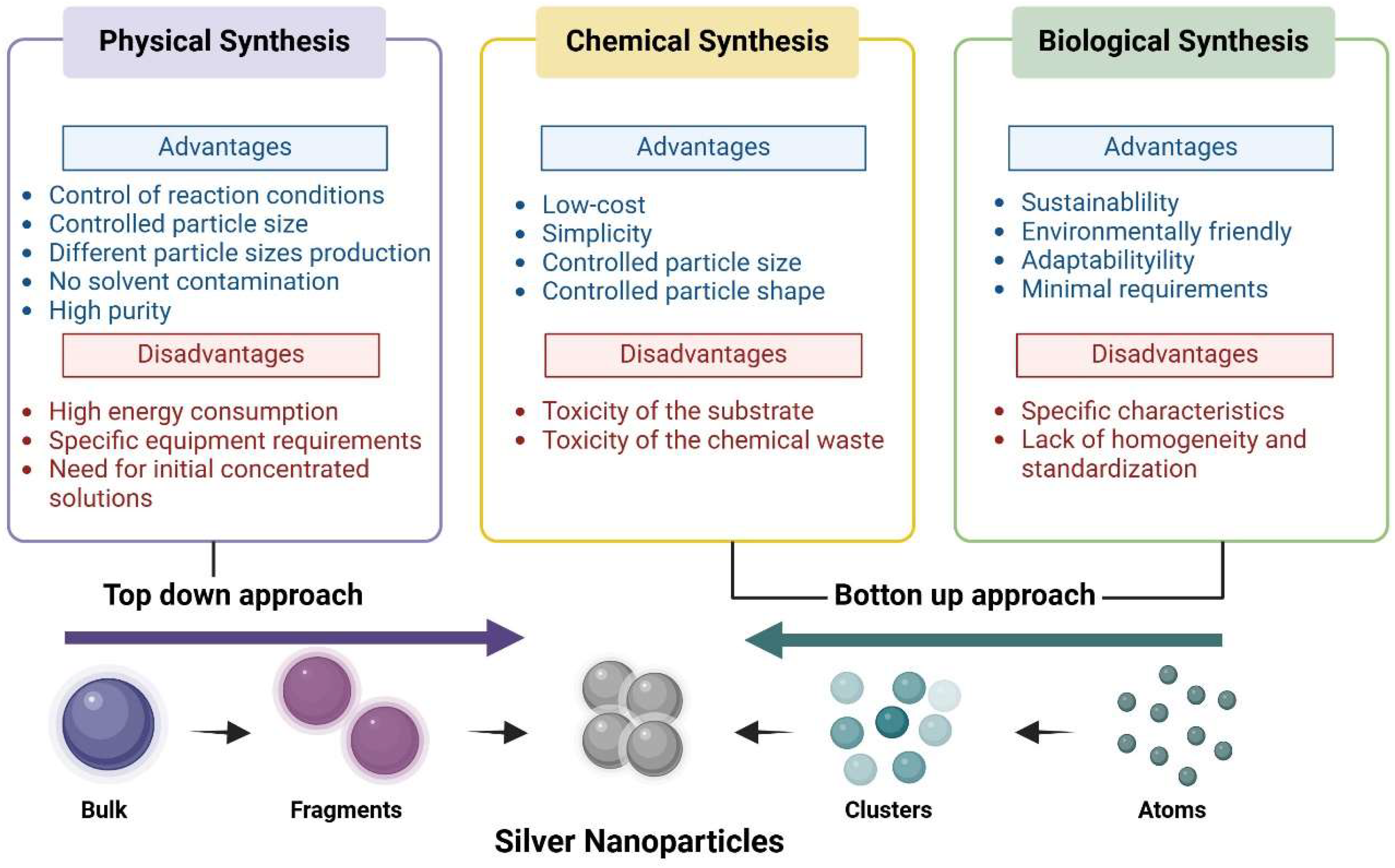 Plants 14 00428 g001