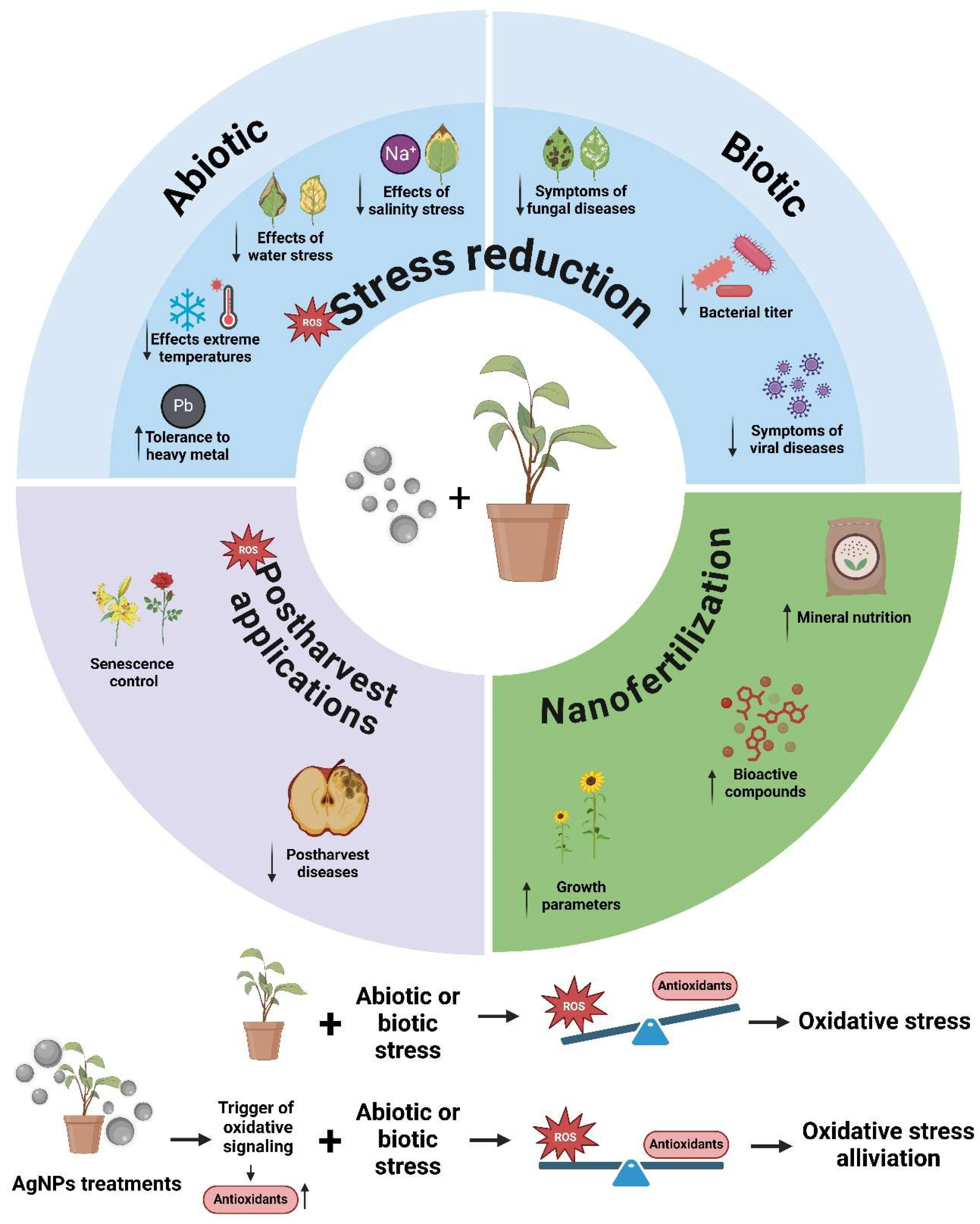 Plants 14 00428 g002