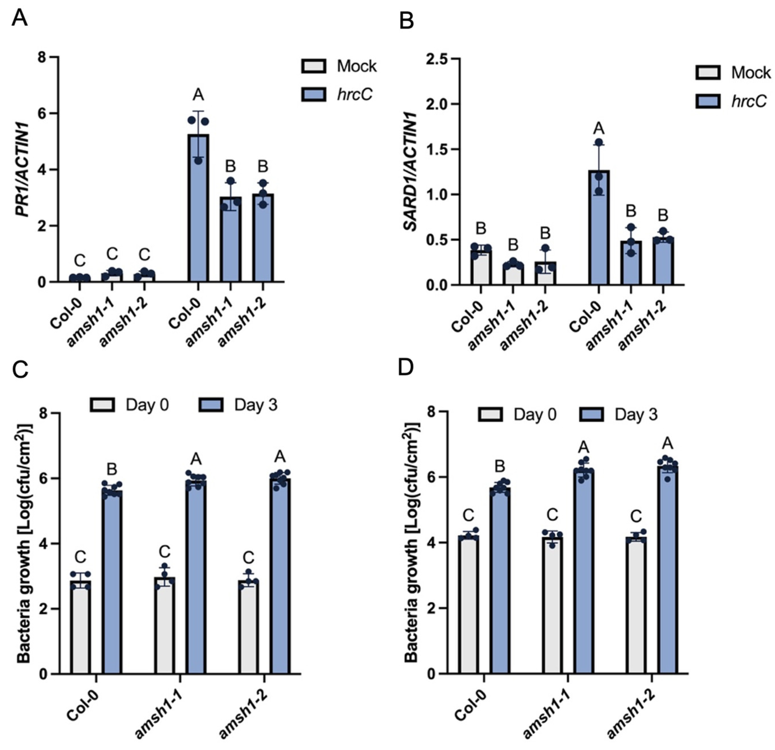 Plants 14 00429 g003