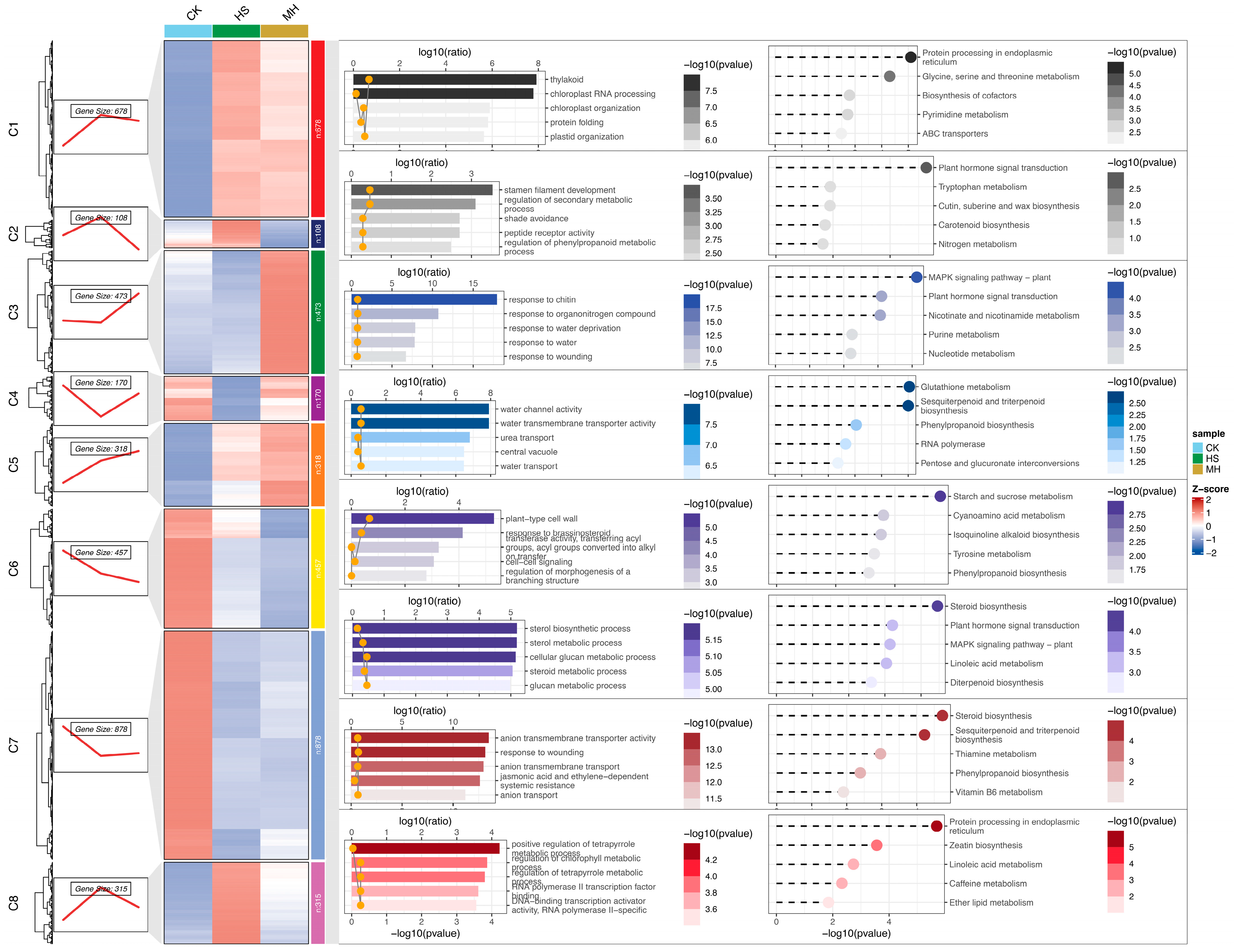 Plants 14 00430 g004