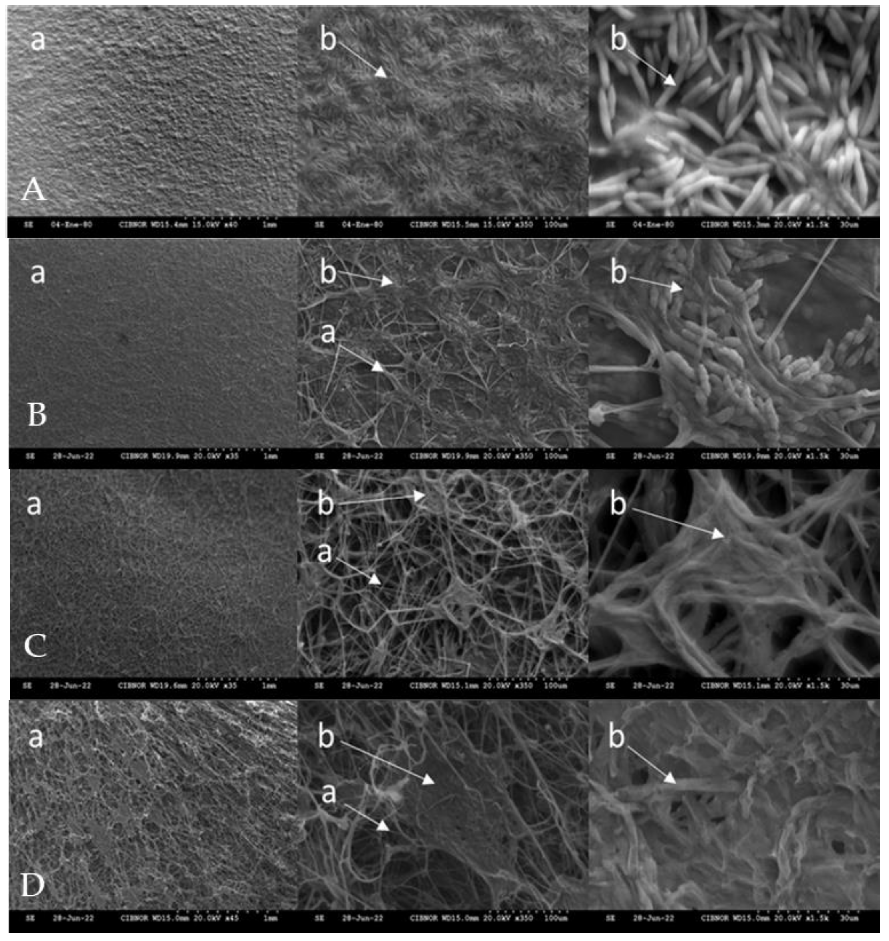 Plants 14 00431 g003