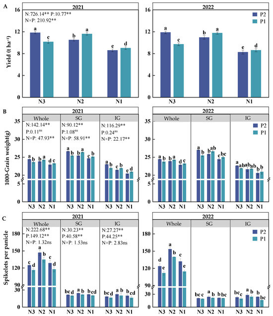 Grain Weight and Taste Quality in Japonica Rice Are