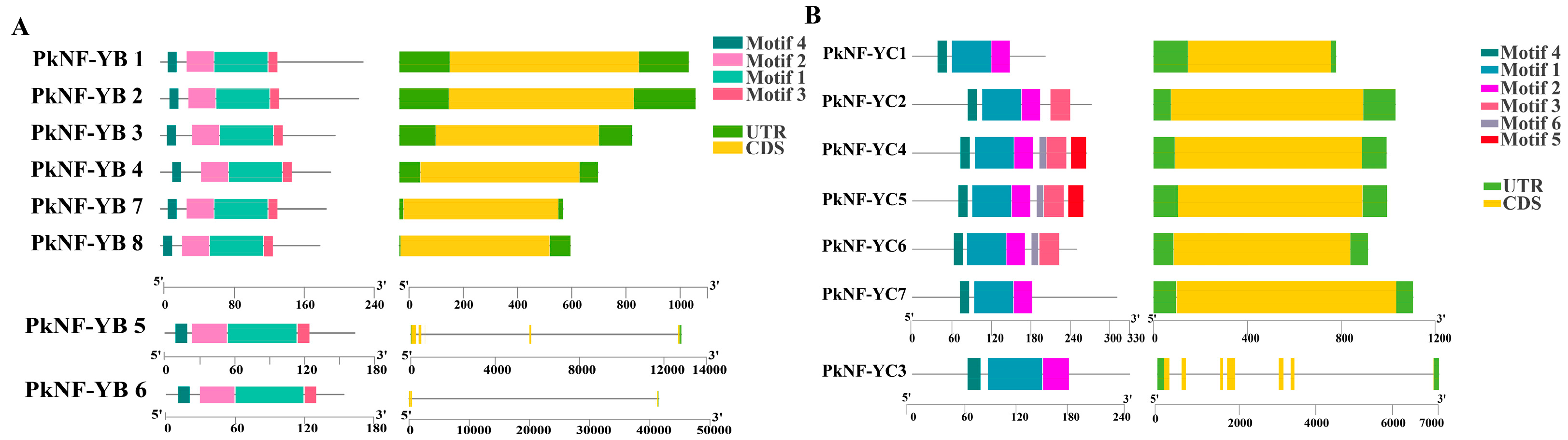Plants 14 00438 g002 Plants 14 00438 g002