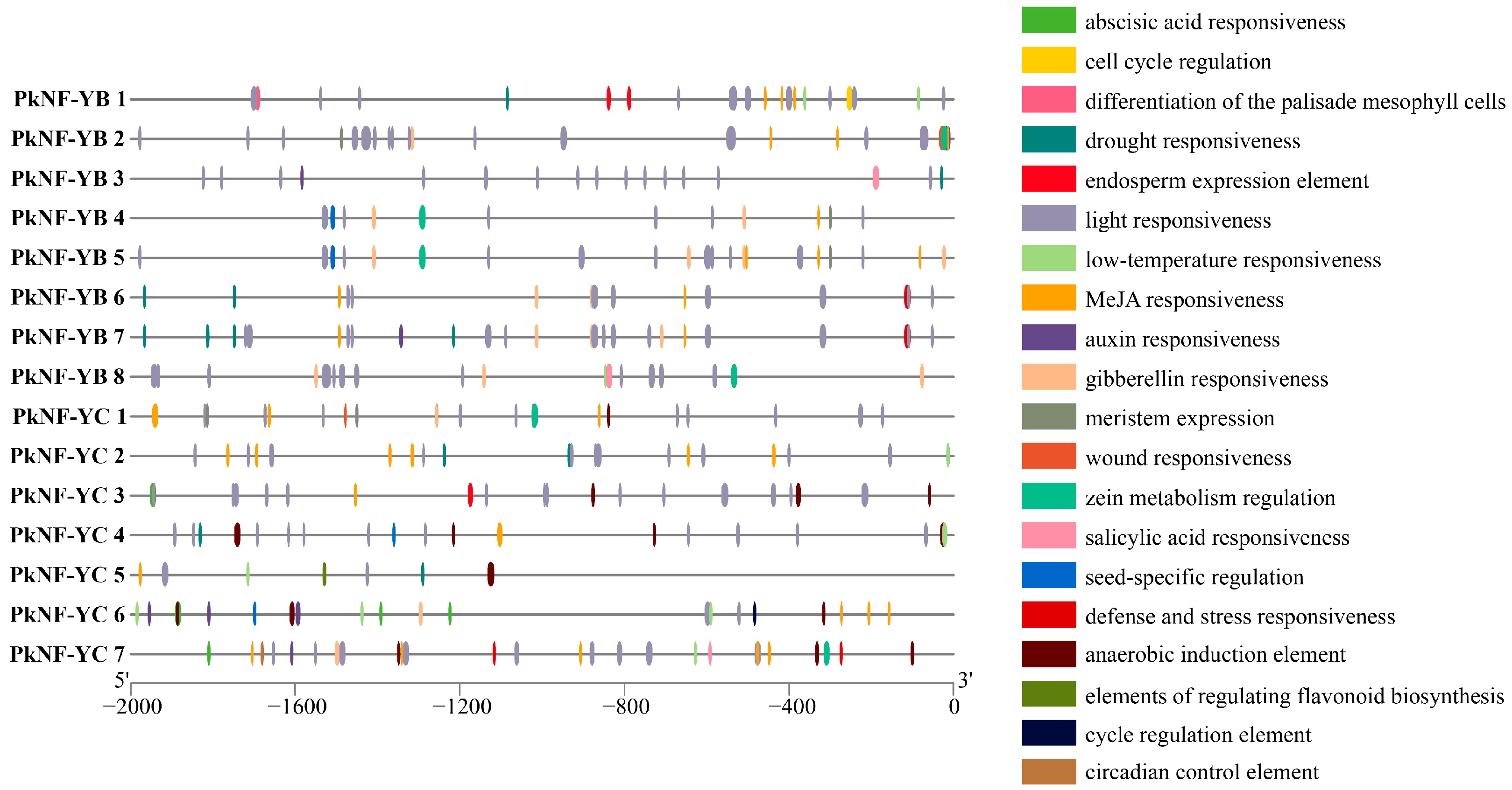 Plants 14 00438 g005 Plants 14 00438 g005