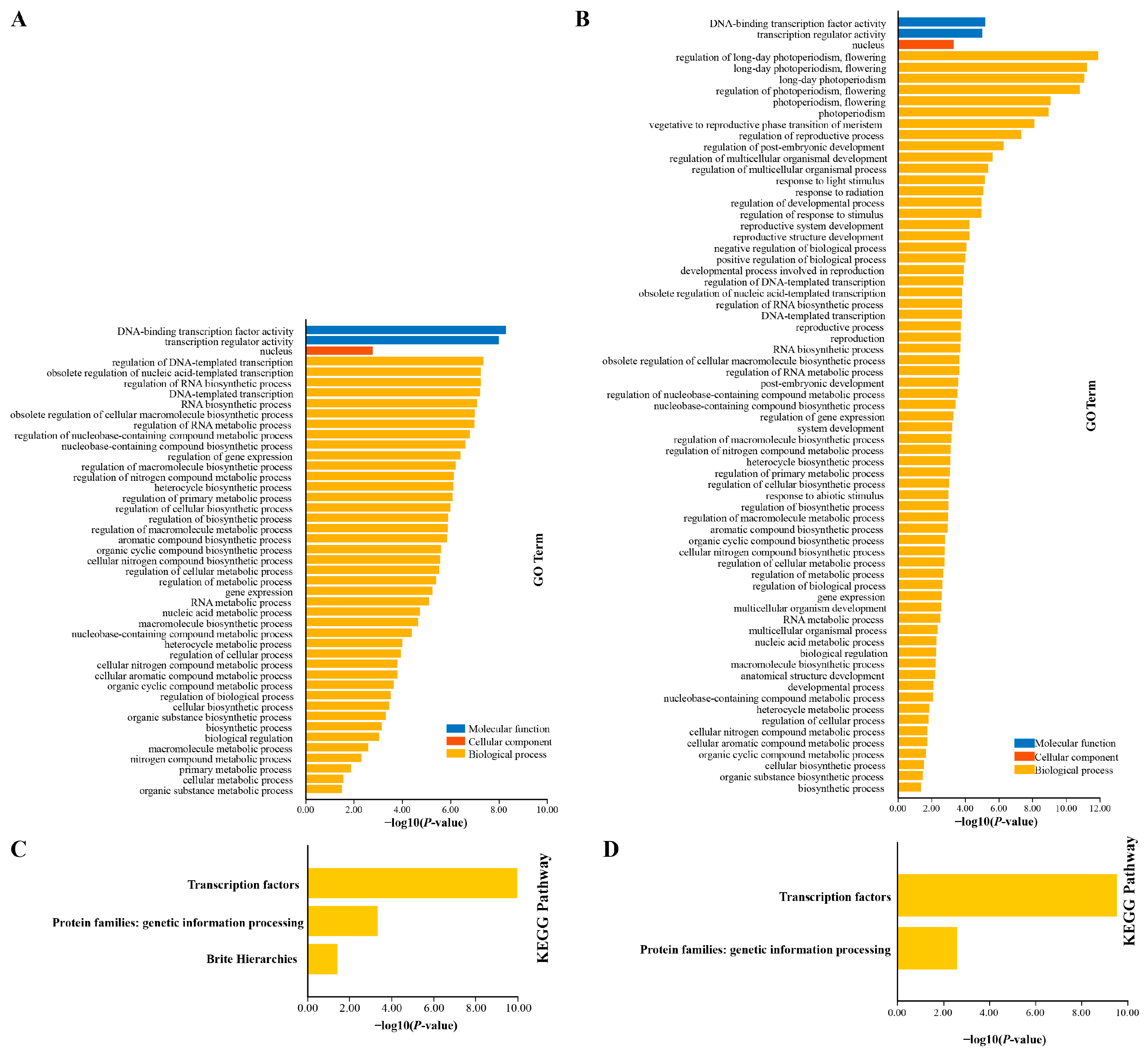 Plants 14 00438 g006 Plants 14 00438 g006
