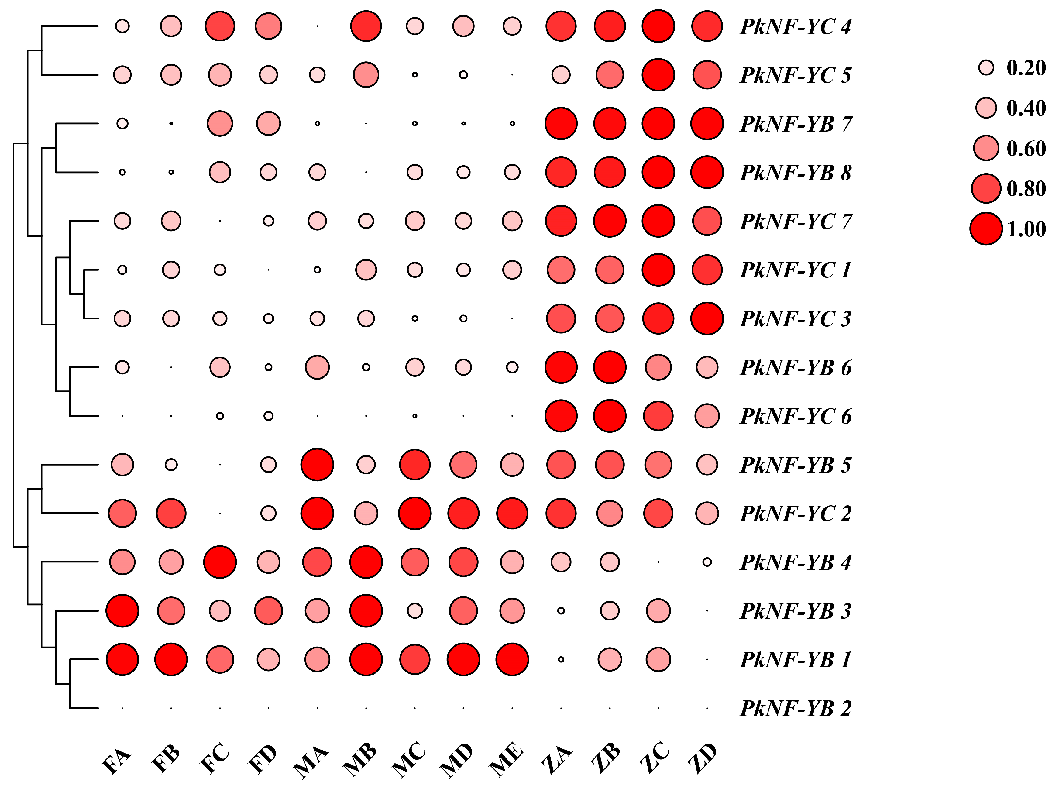 Plants 14 00438 g008 Plants 14 00438 g008