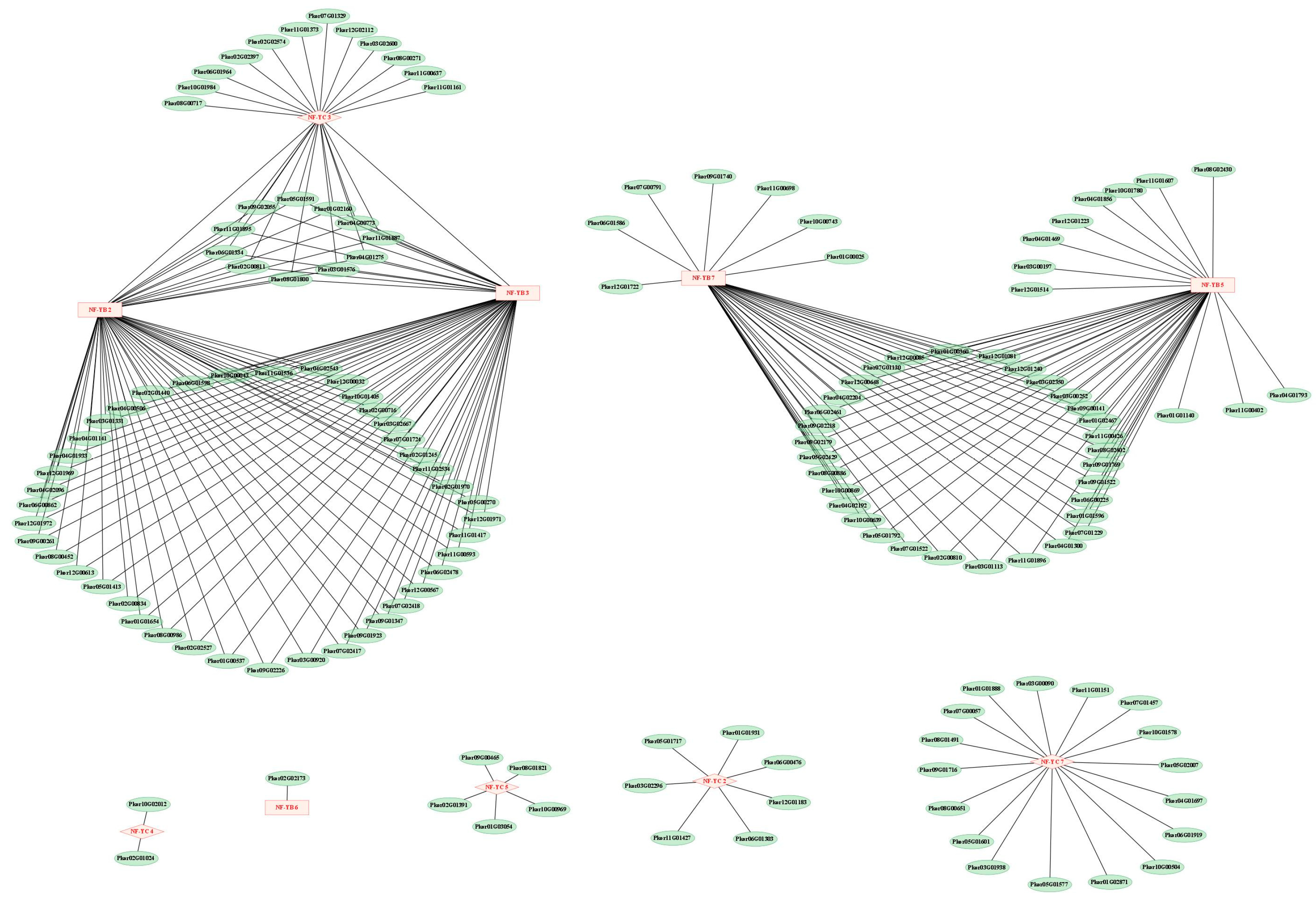 Plants 14 00438 g012 Plants 14 00438 g012