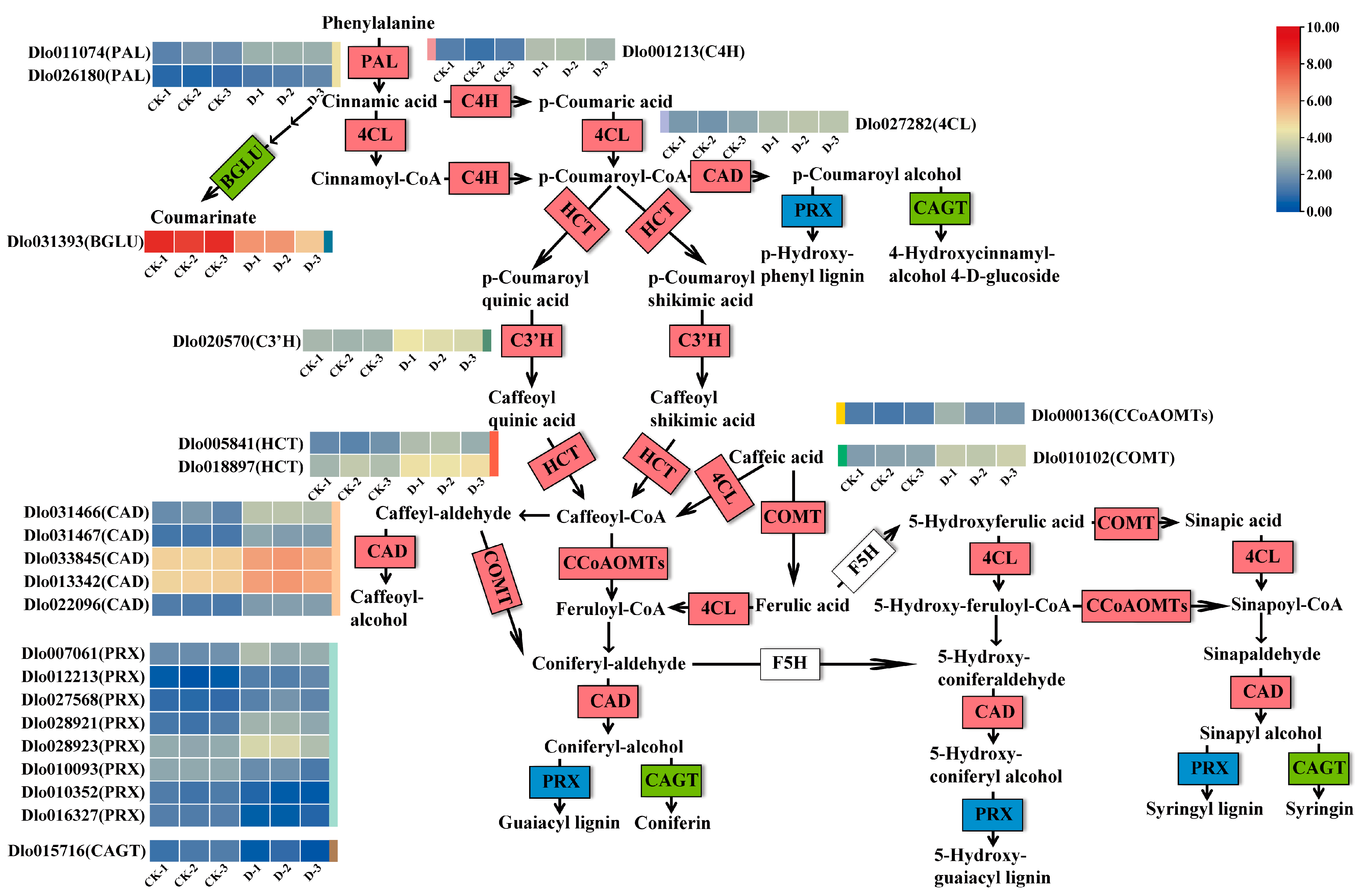 Plants 14 00442 g005