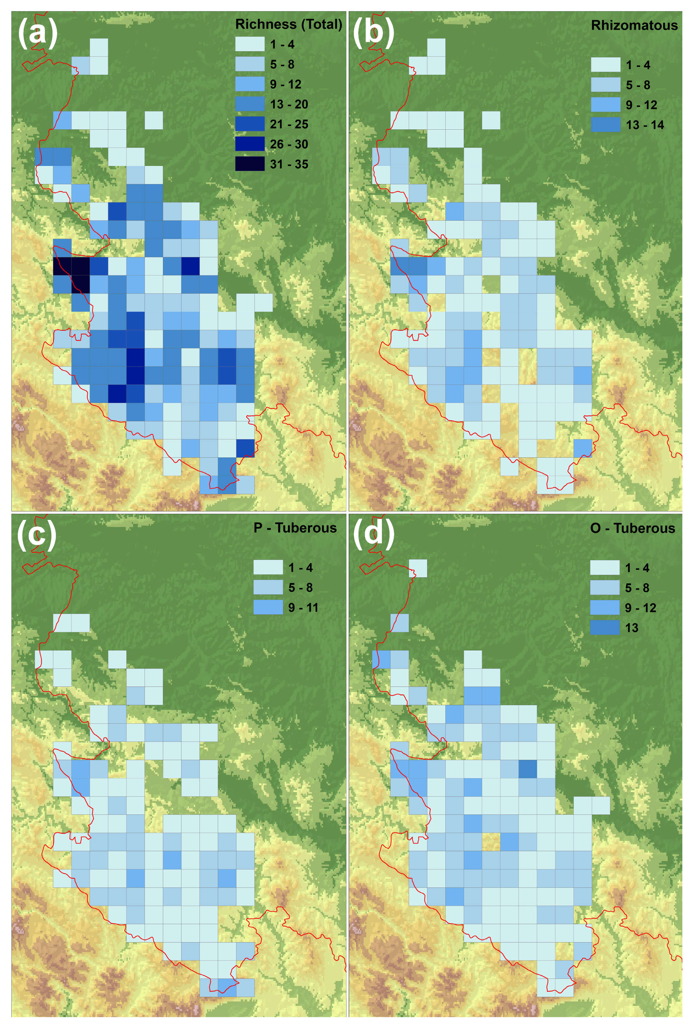 Plants 14 00443 g002