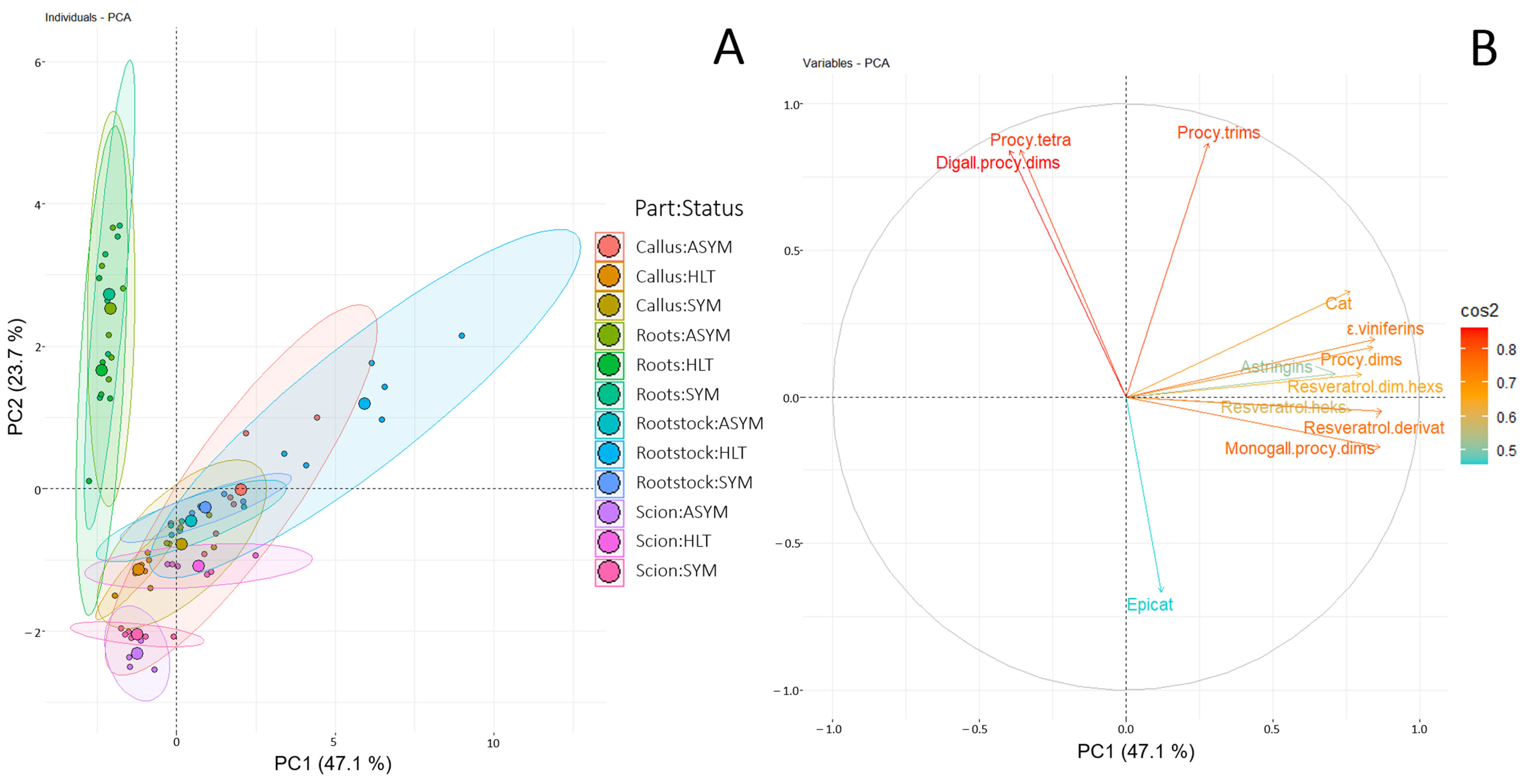 Plants 14 00444 g002