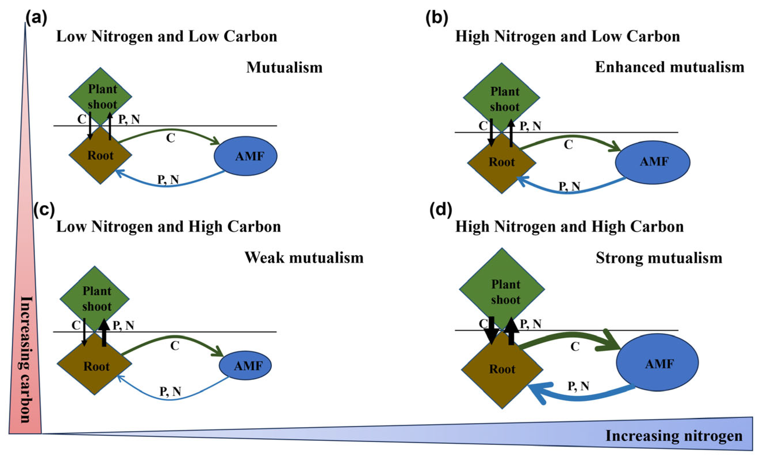 Plants 14 00456 g007