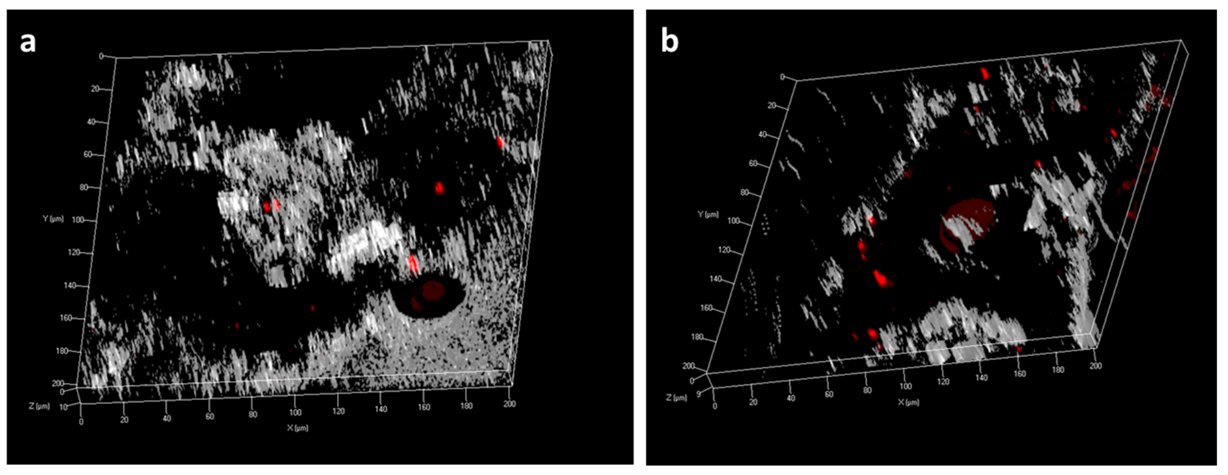 Plants 14 00458 g005