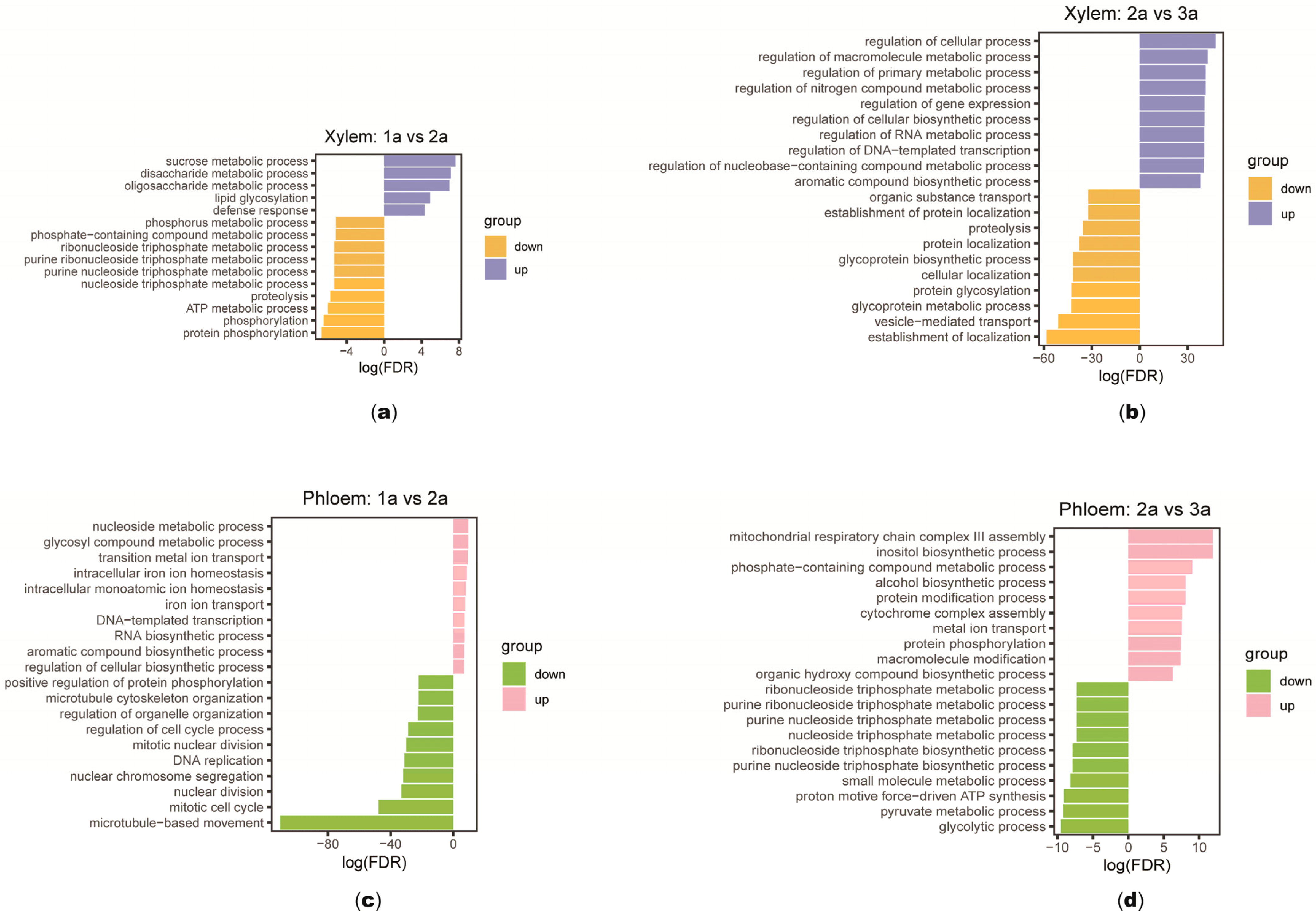 Plants 14 00459 g003