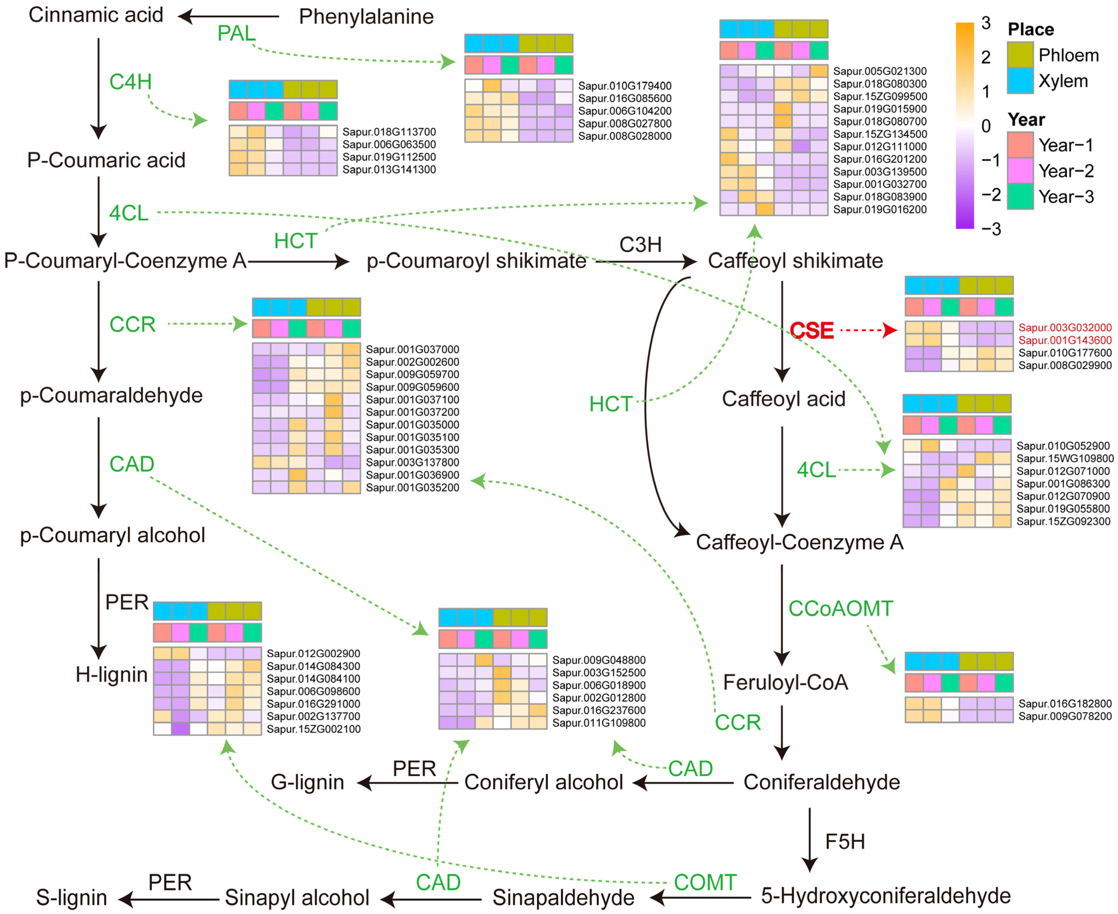 Plants 14 00459 g004