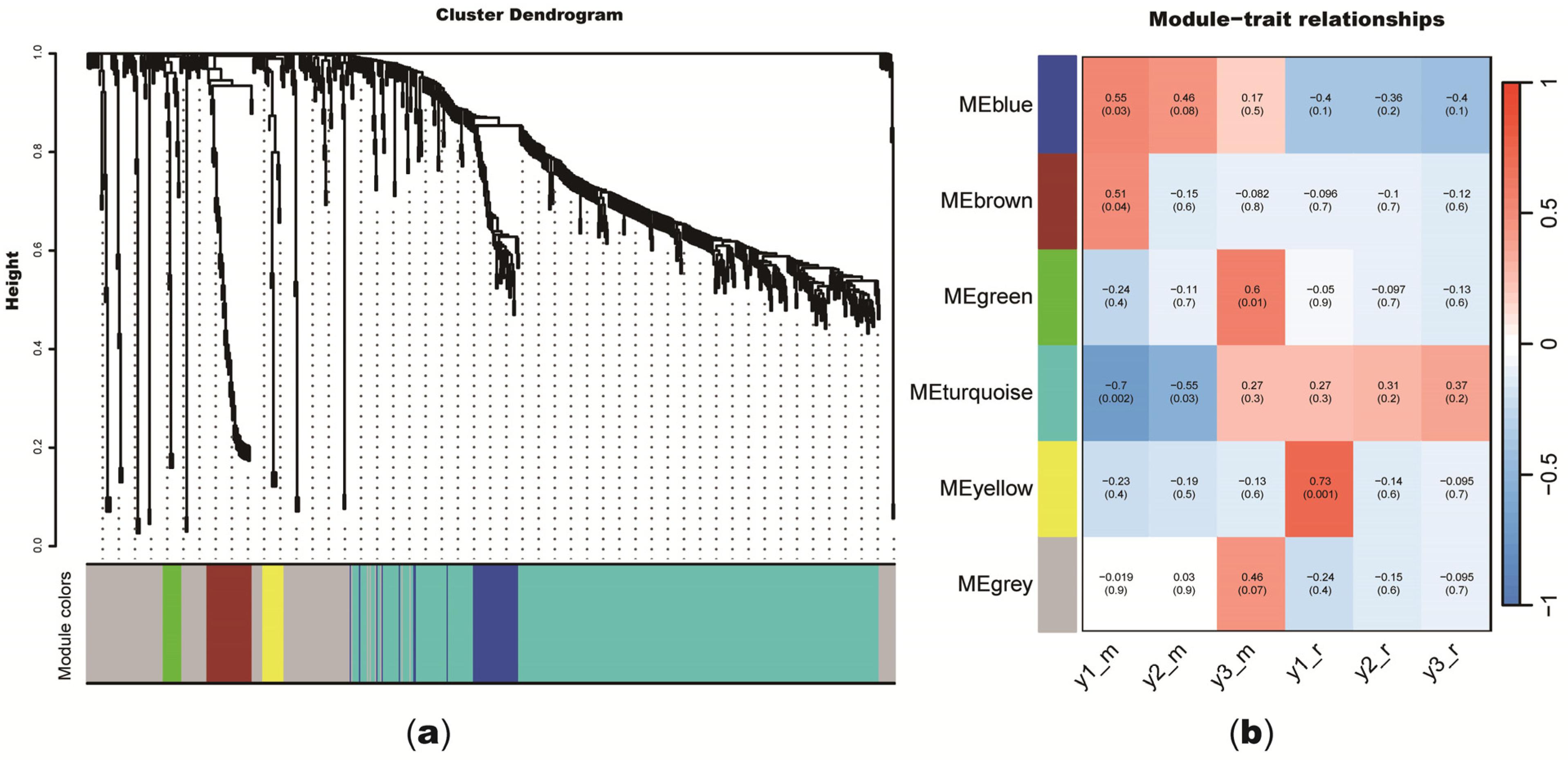 Plants 14 00459 g005