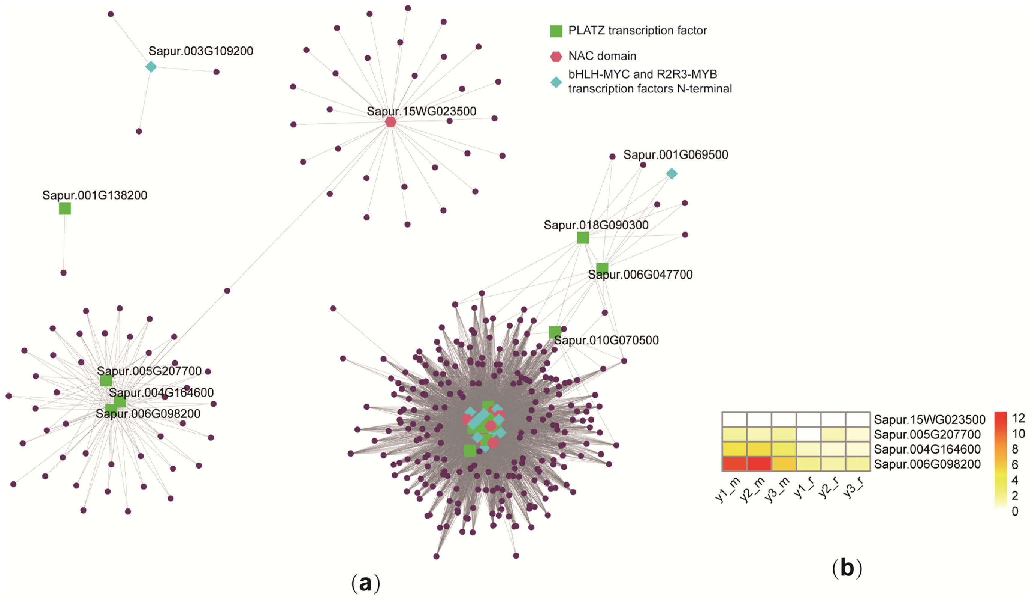 Plants 14 00459 g006
