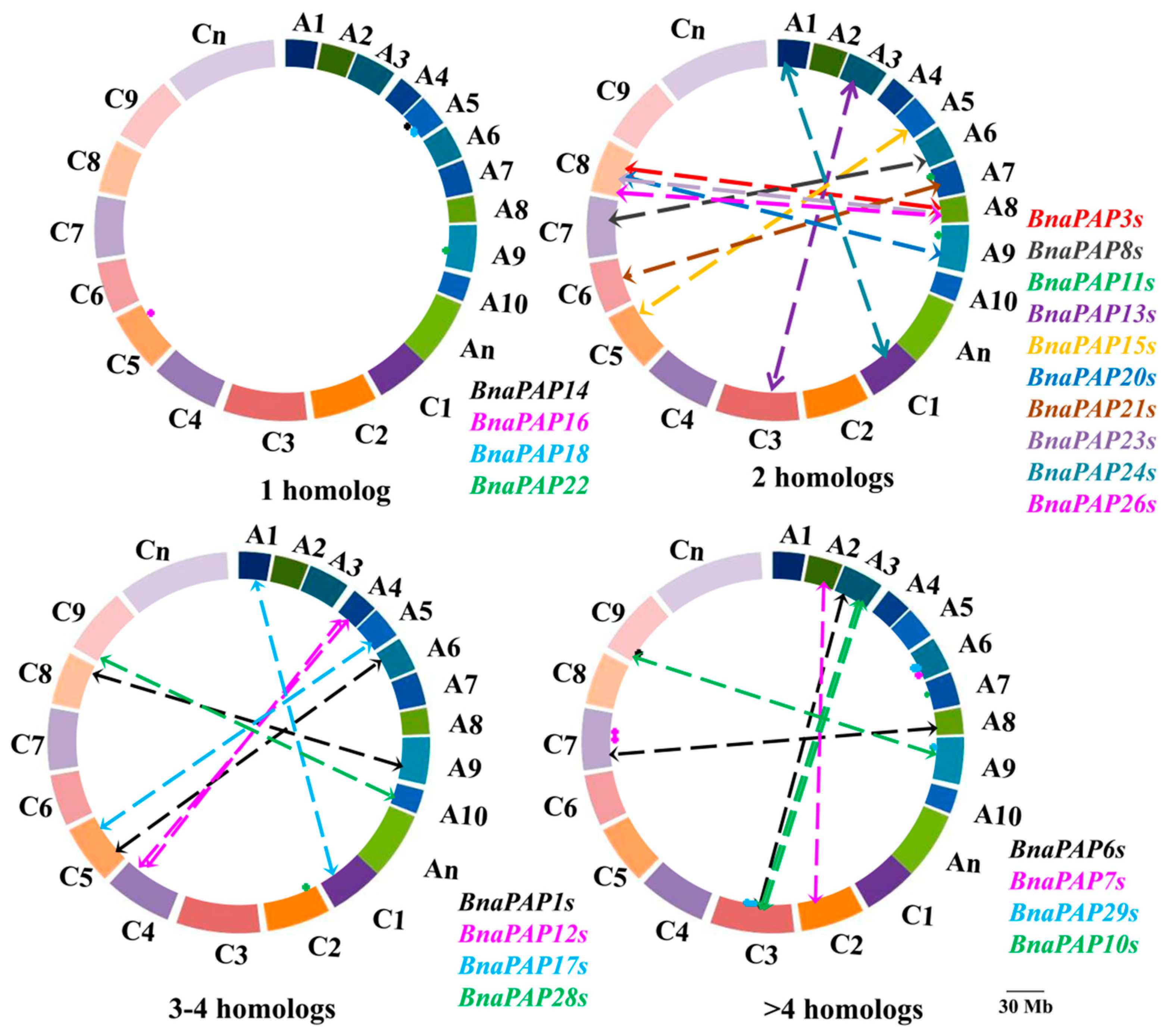 Plants 14 00461 g003
