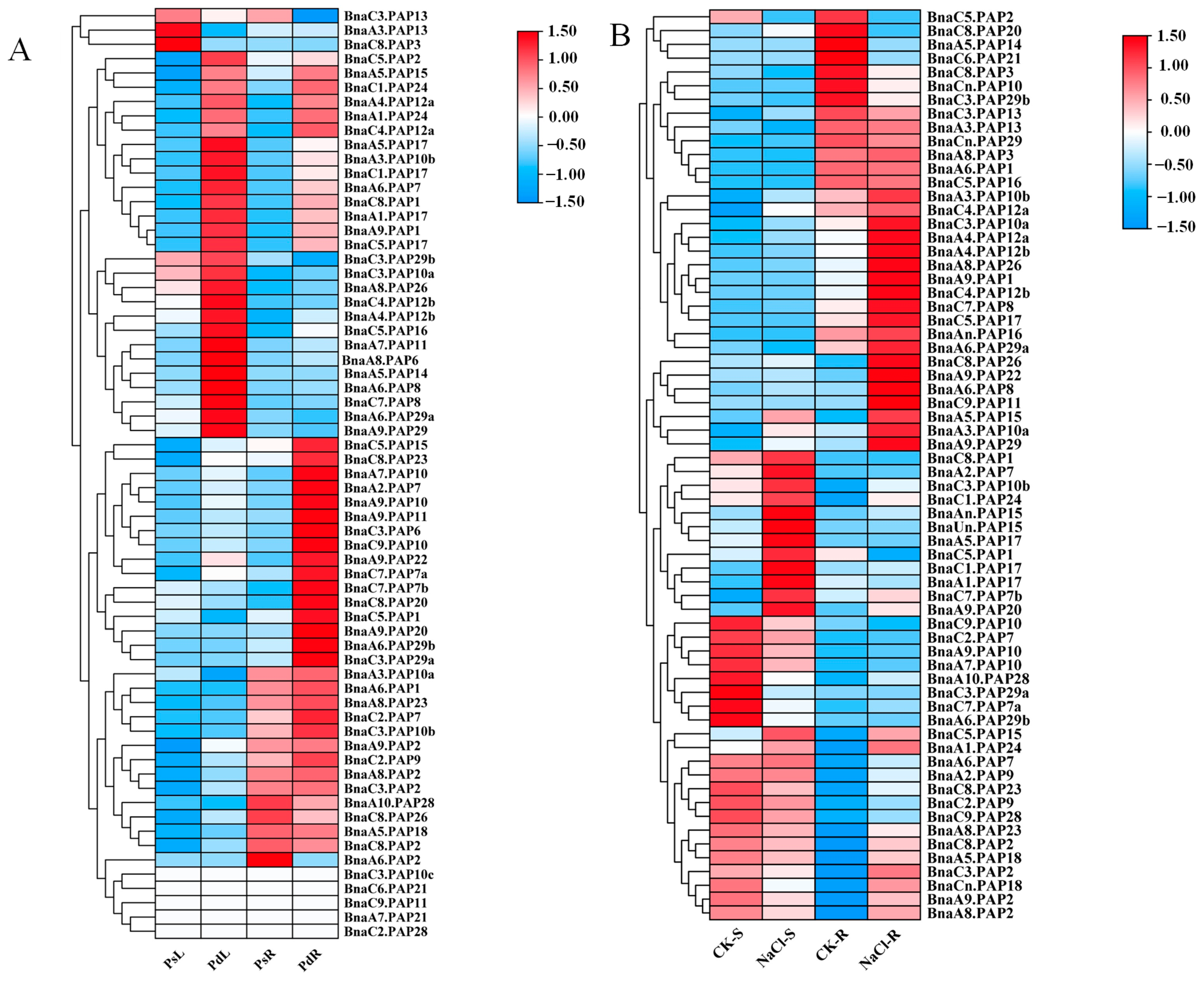 Plants 14 00461 g004