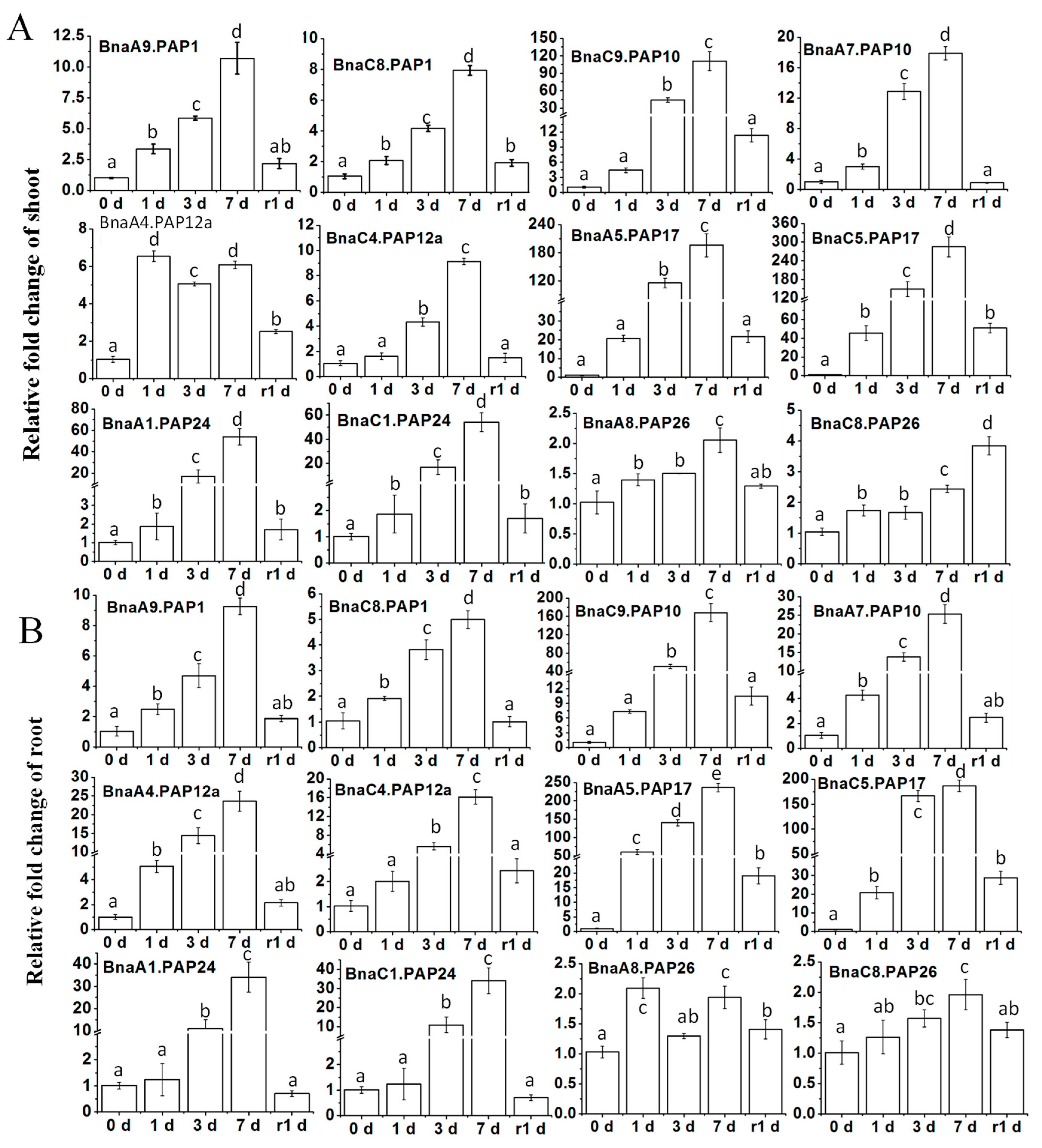 Plants 14 00461 g005