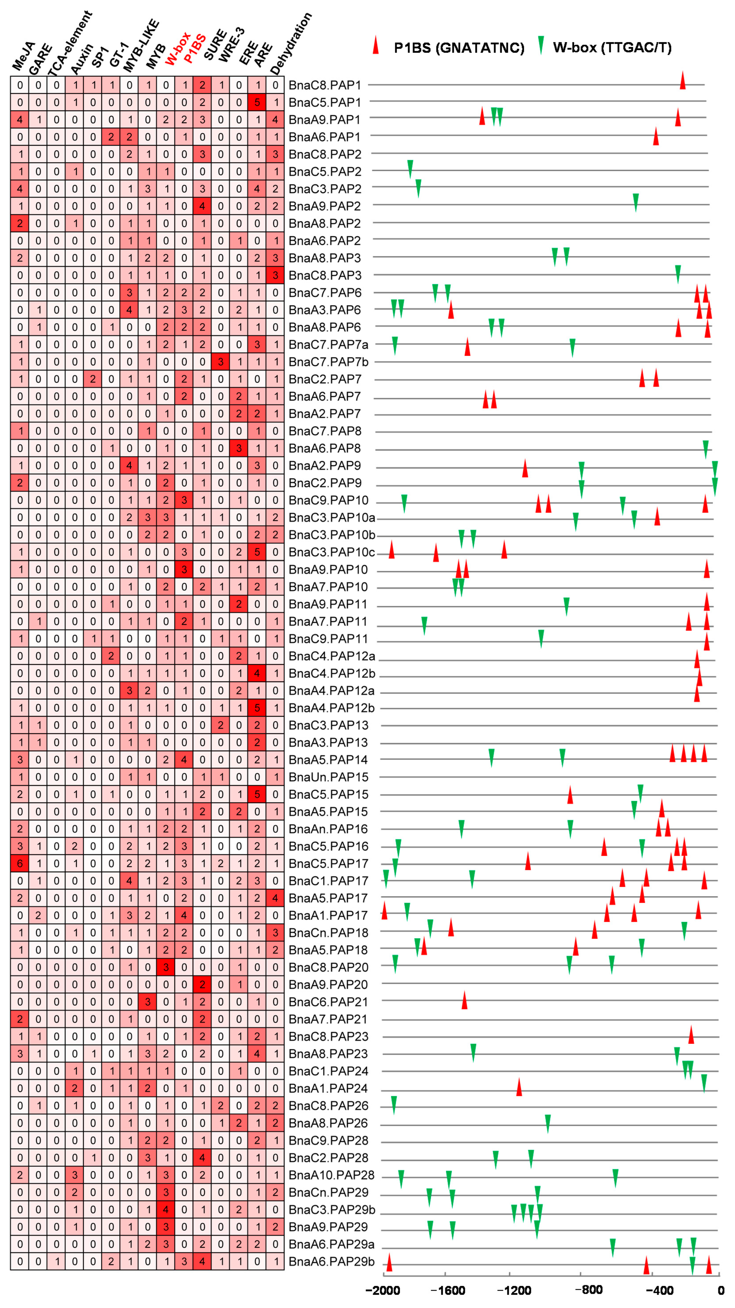 Plants 14 00461 g006