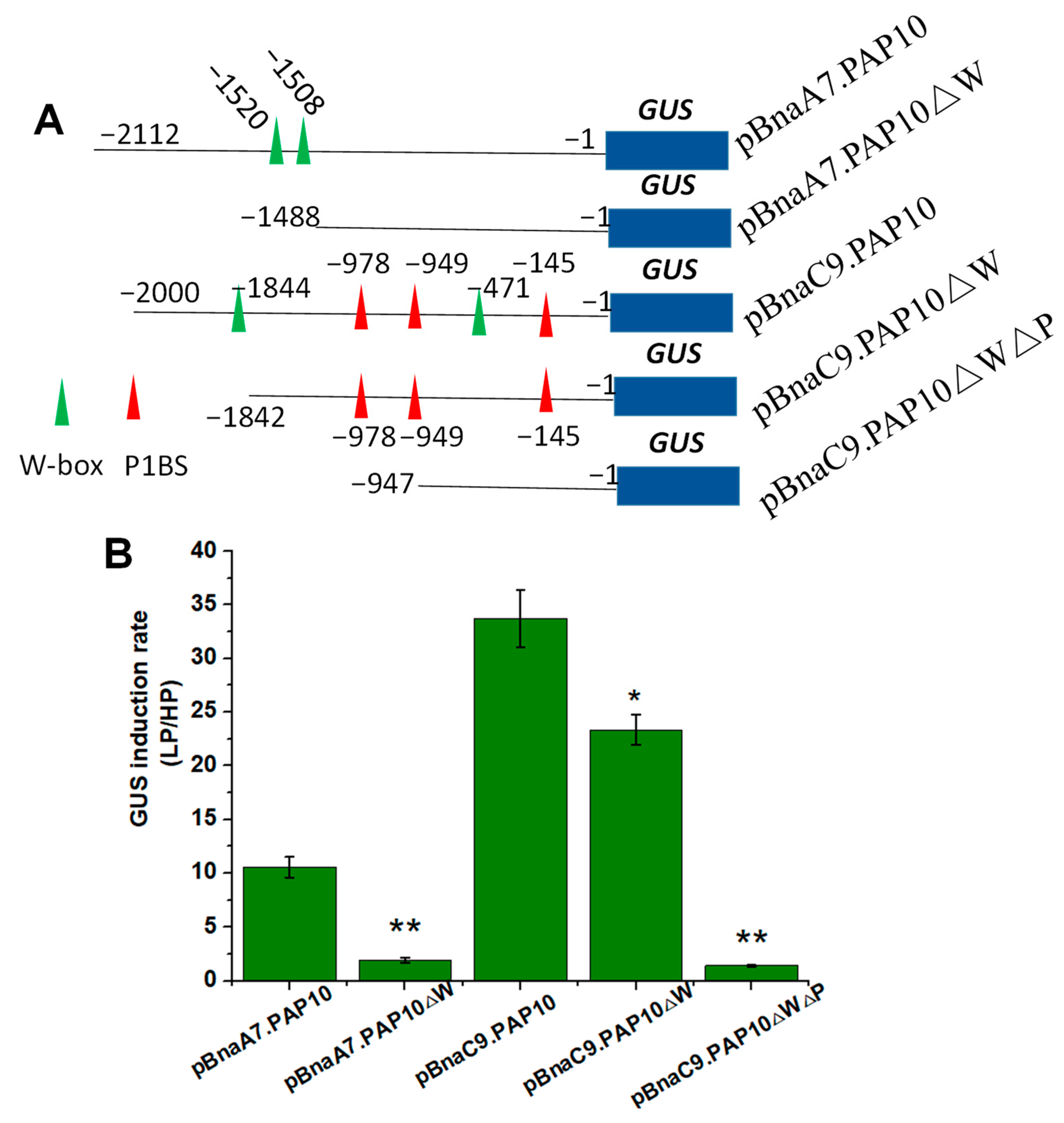 Plants 14 00461 g008