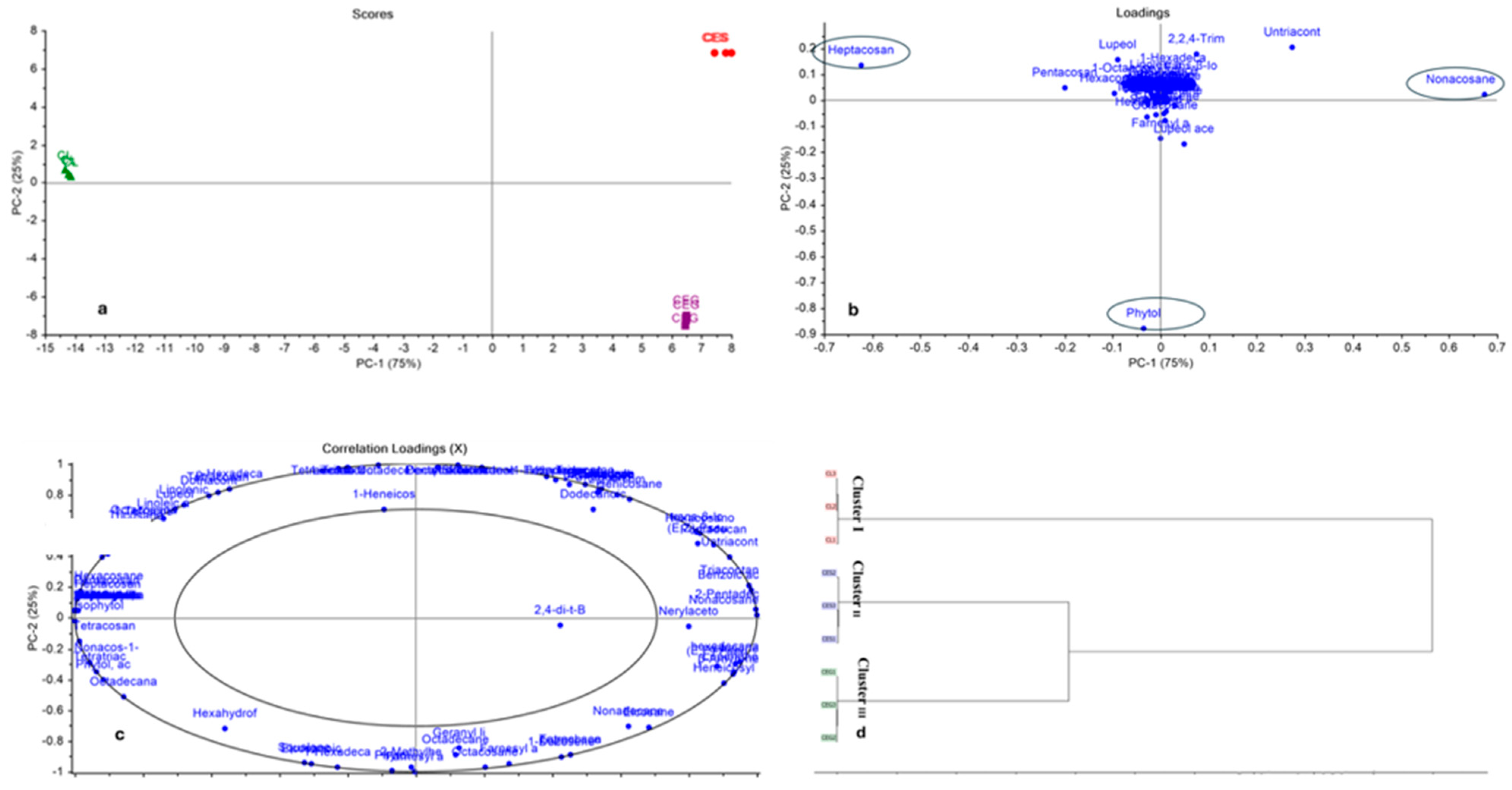 Plants 14 00464 g001