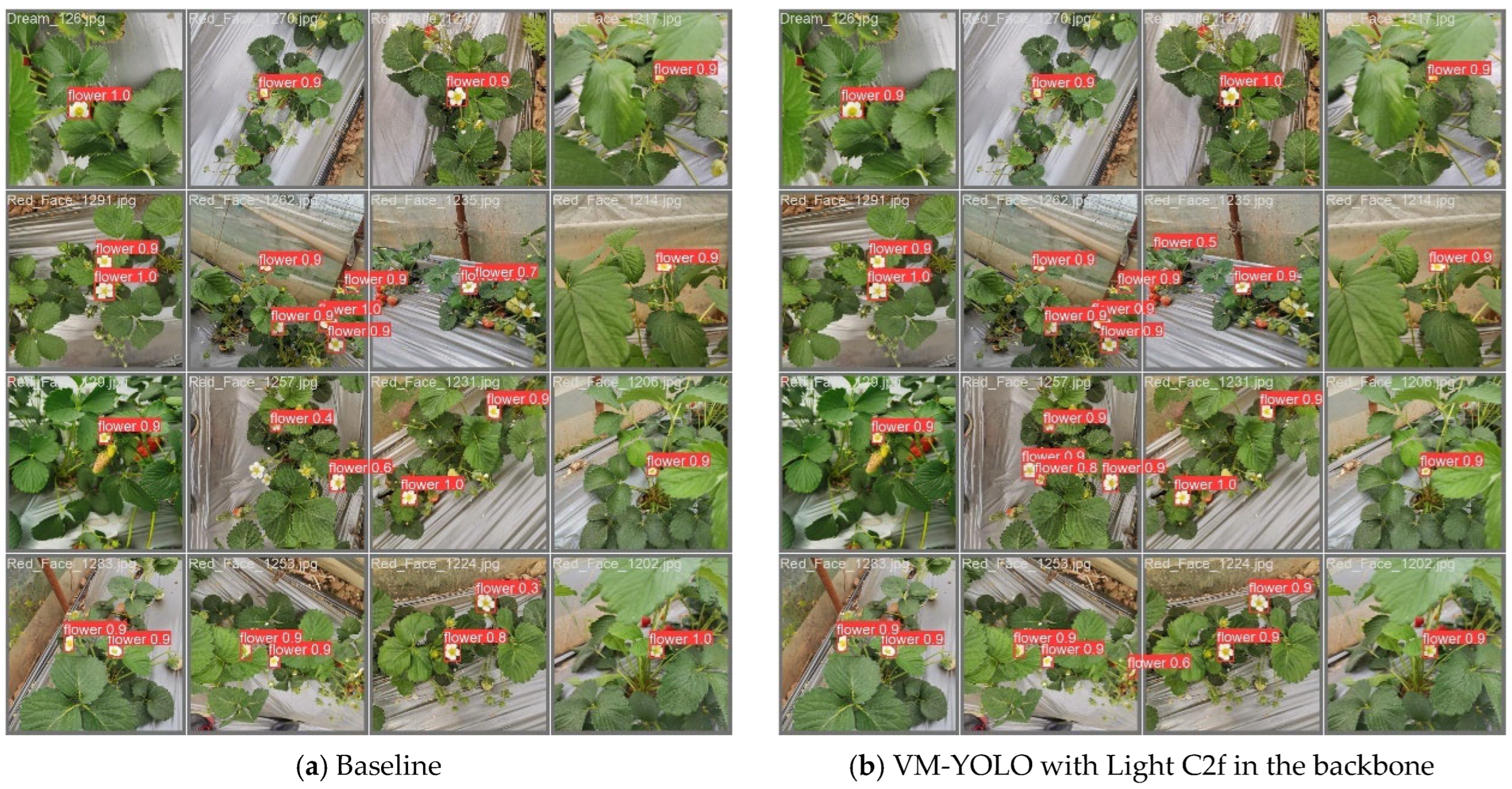 VM-YOLO: YOLO with VMamba for Strawberry Flowers Detection