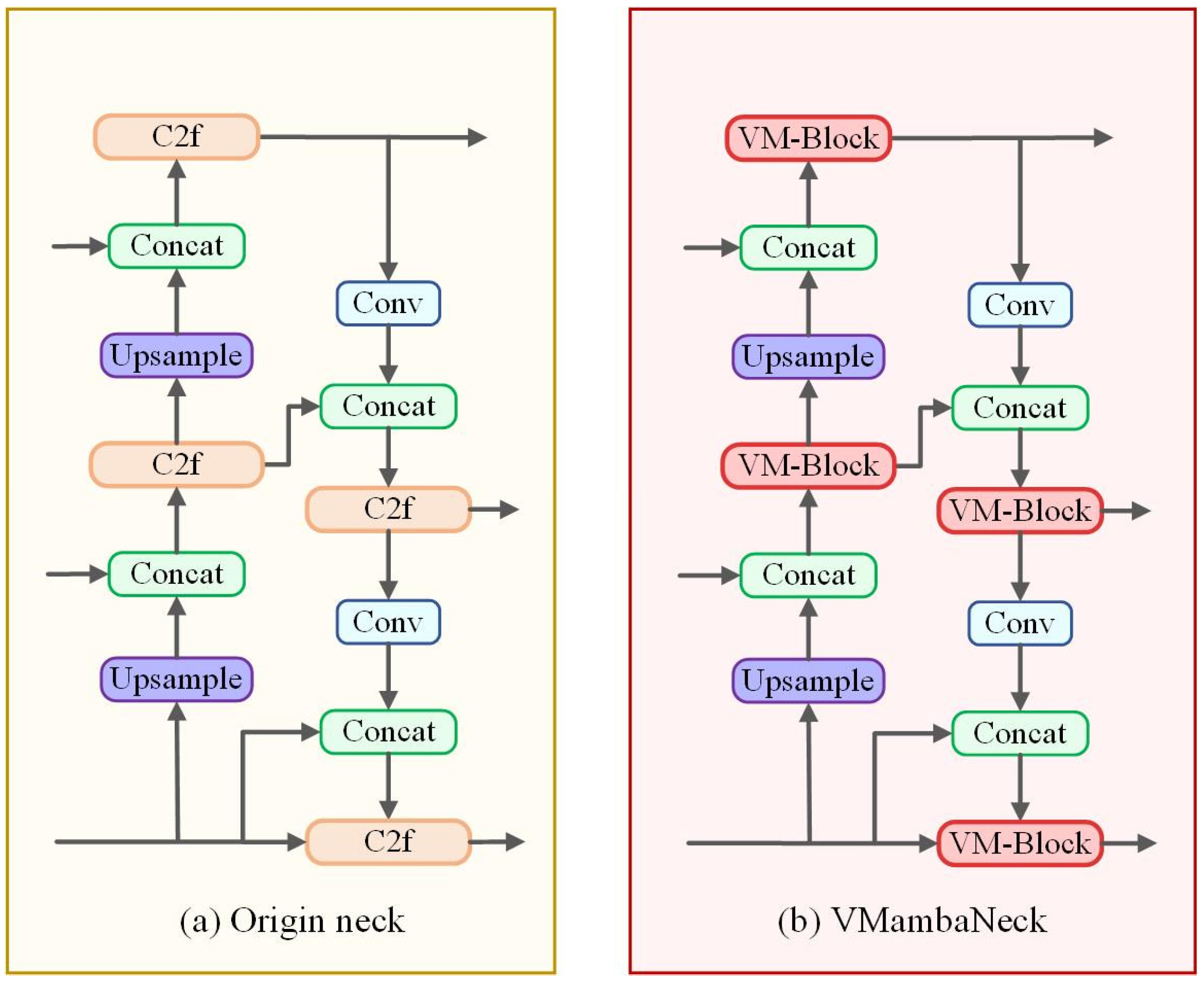 Plants 14 00468 g008