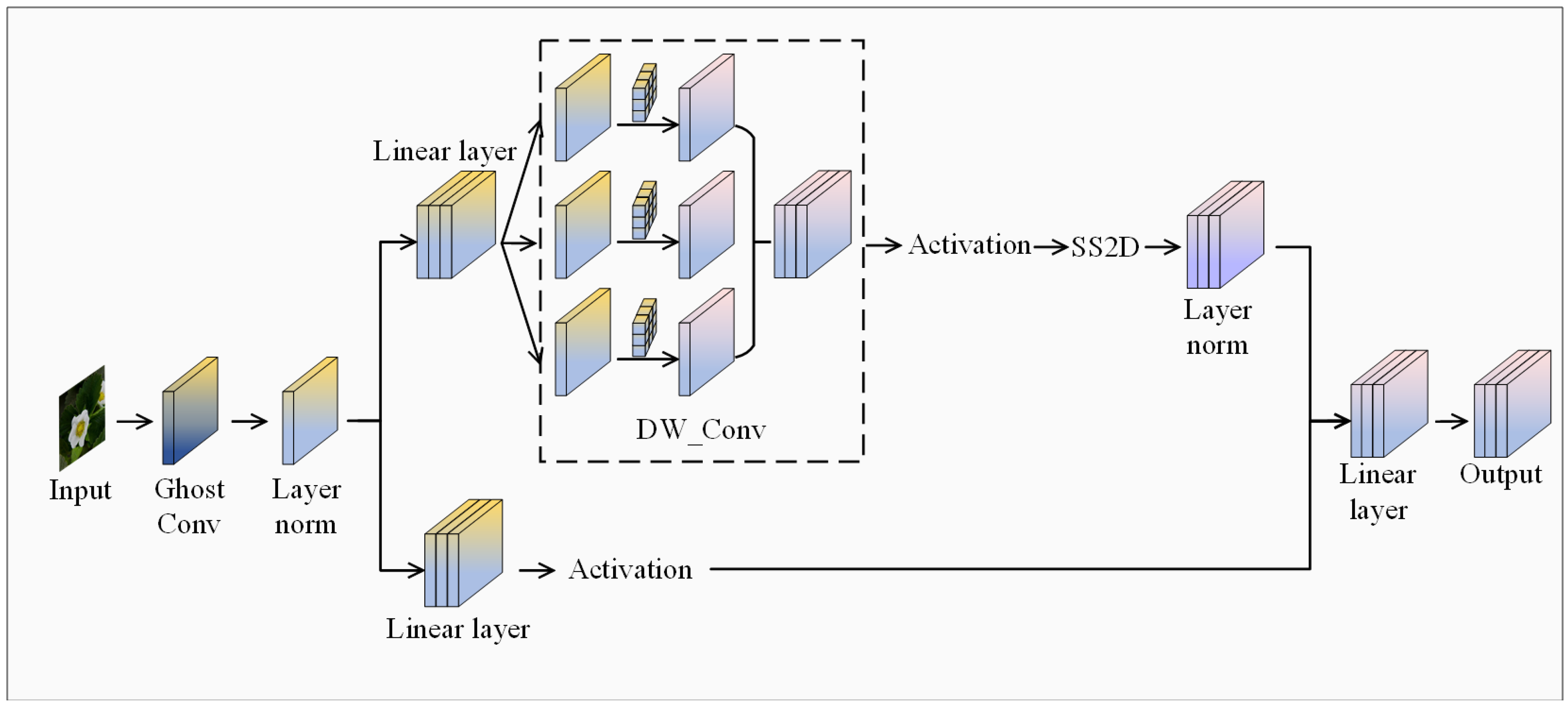 Plants 14 00468 g009