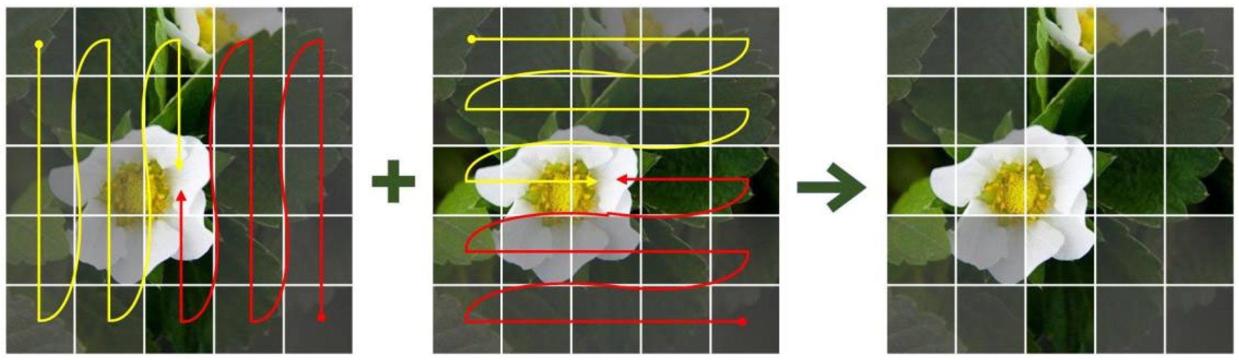 Plants 14 00468 g010