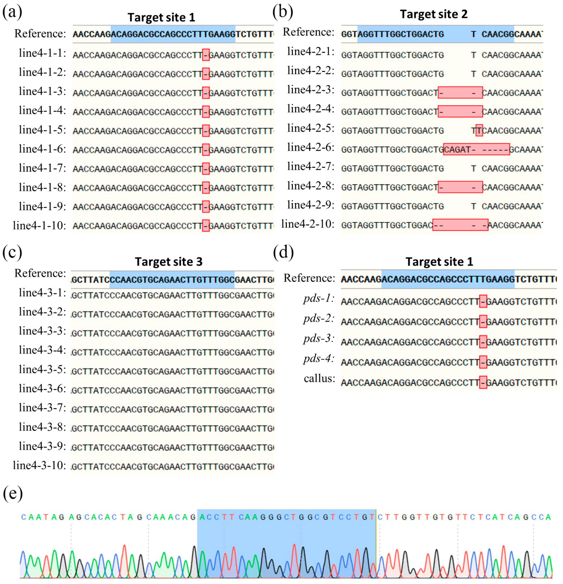 Plants 14 00472 g004