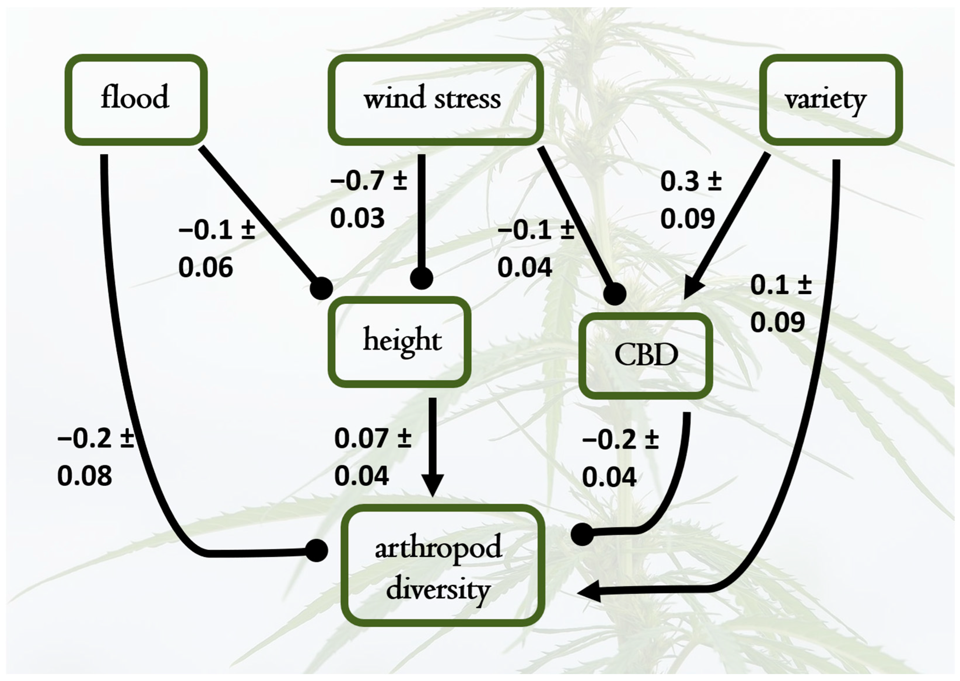 Plants 14 00474 g004