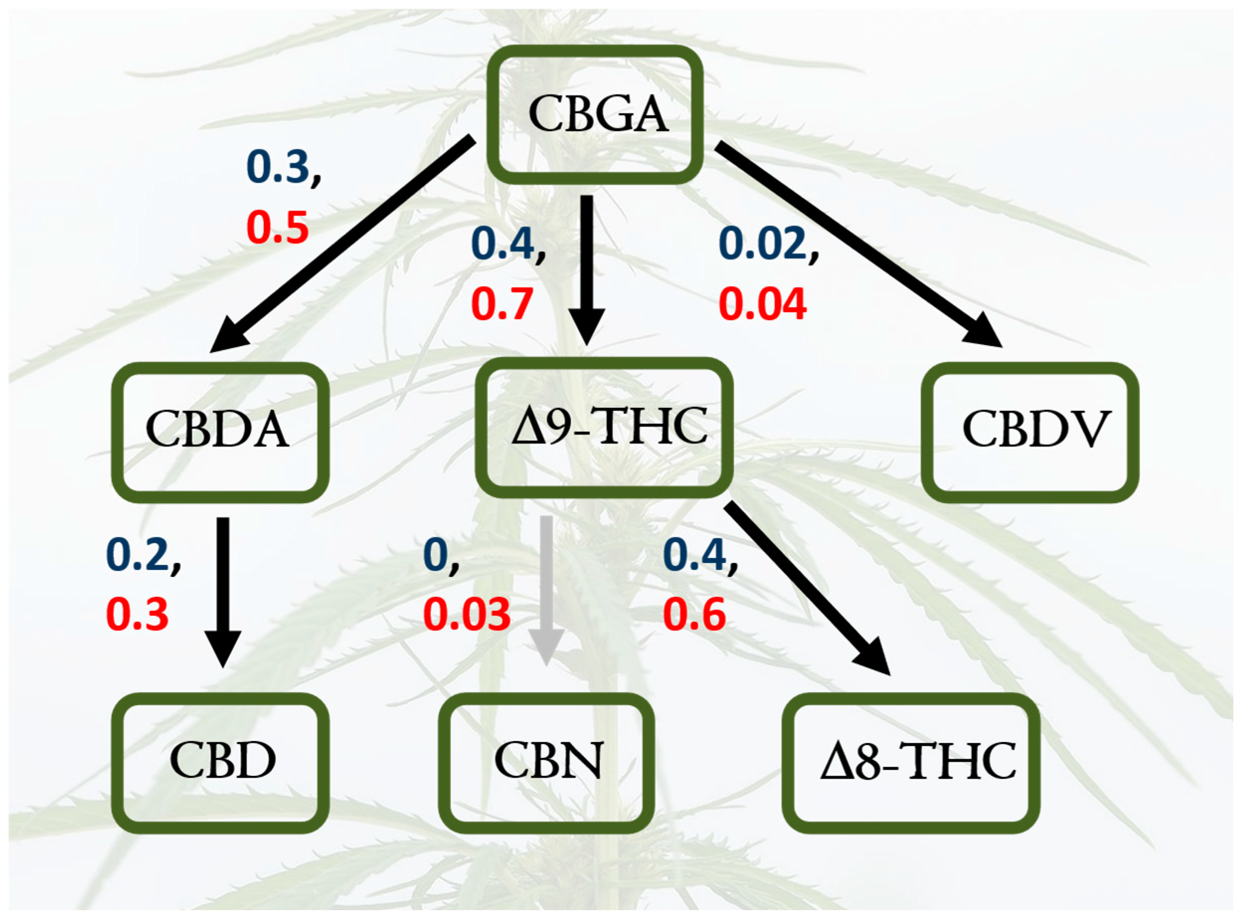 Plants 14 00474 g005
