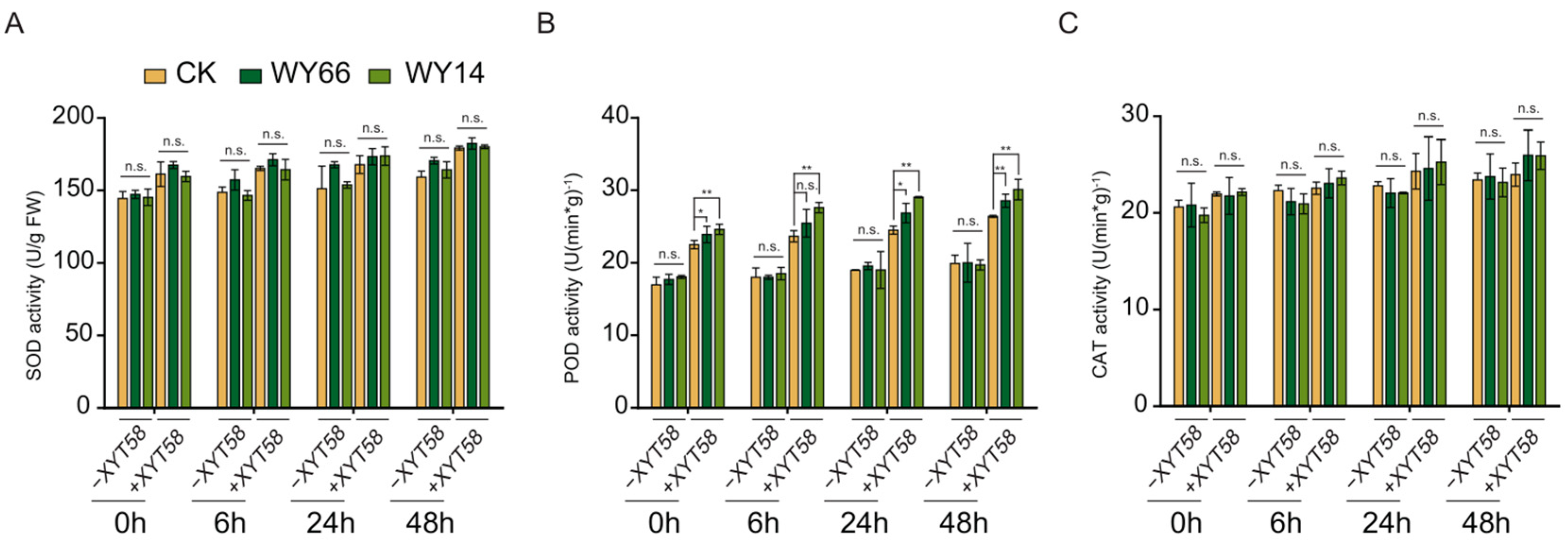 Plants 14 00475 g005
