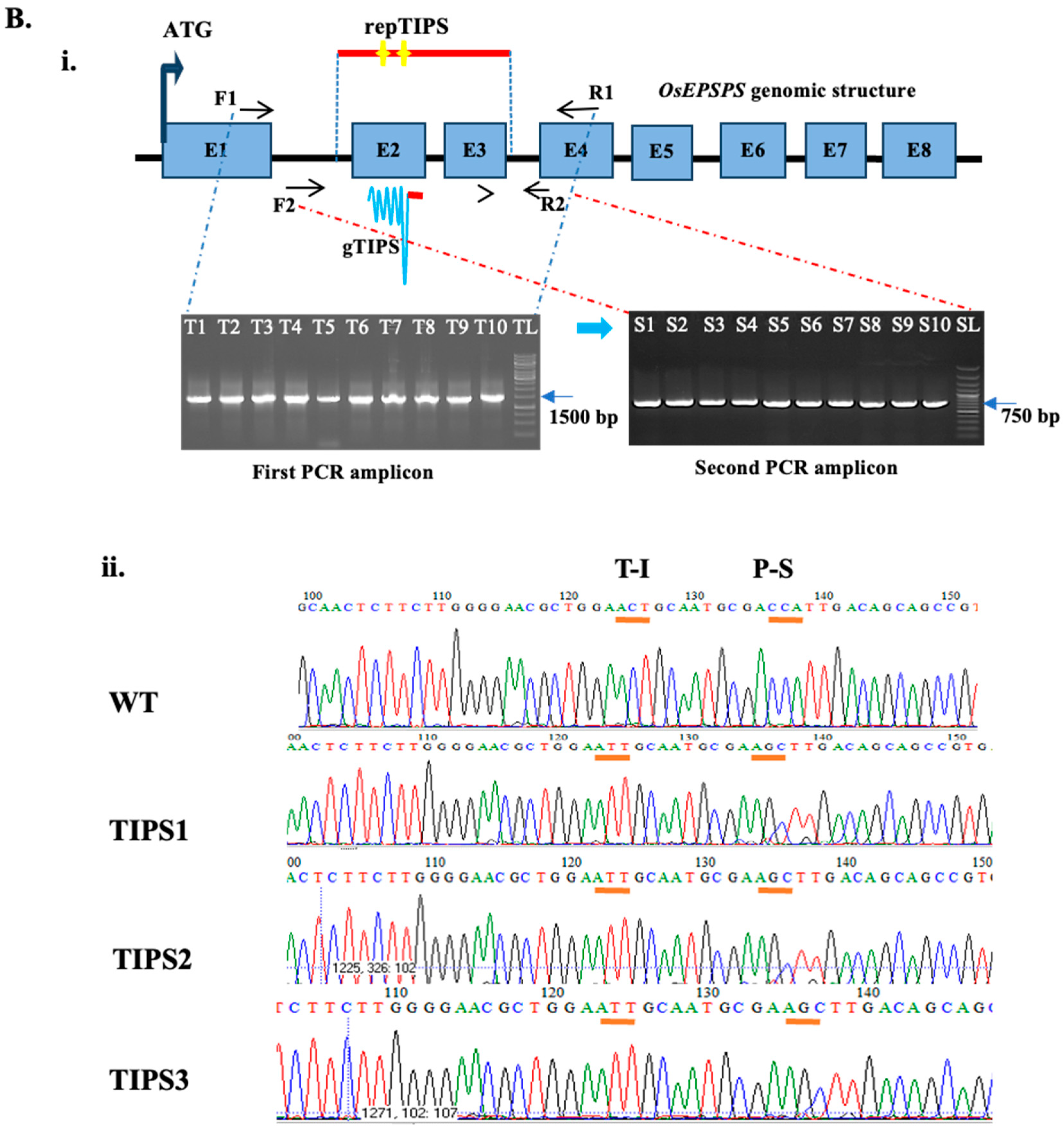 Plants 14 00477 g003b