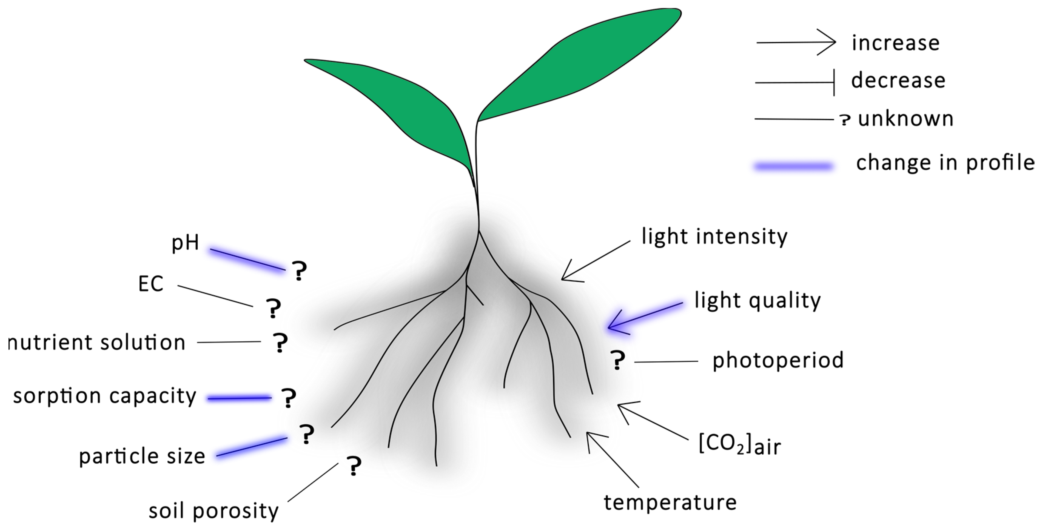 Plants 14 00479 g002