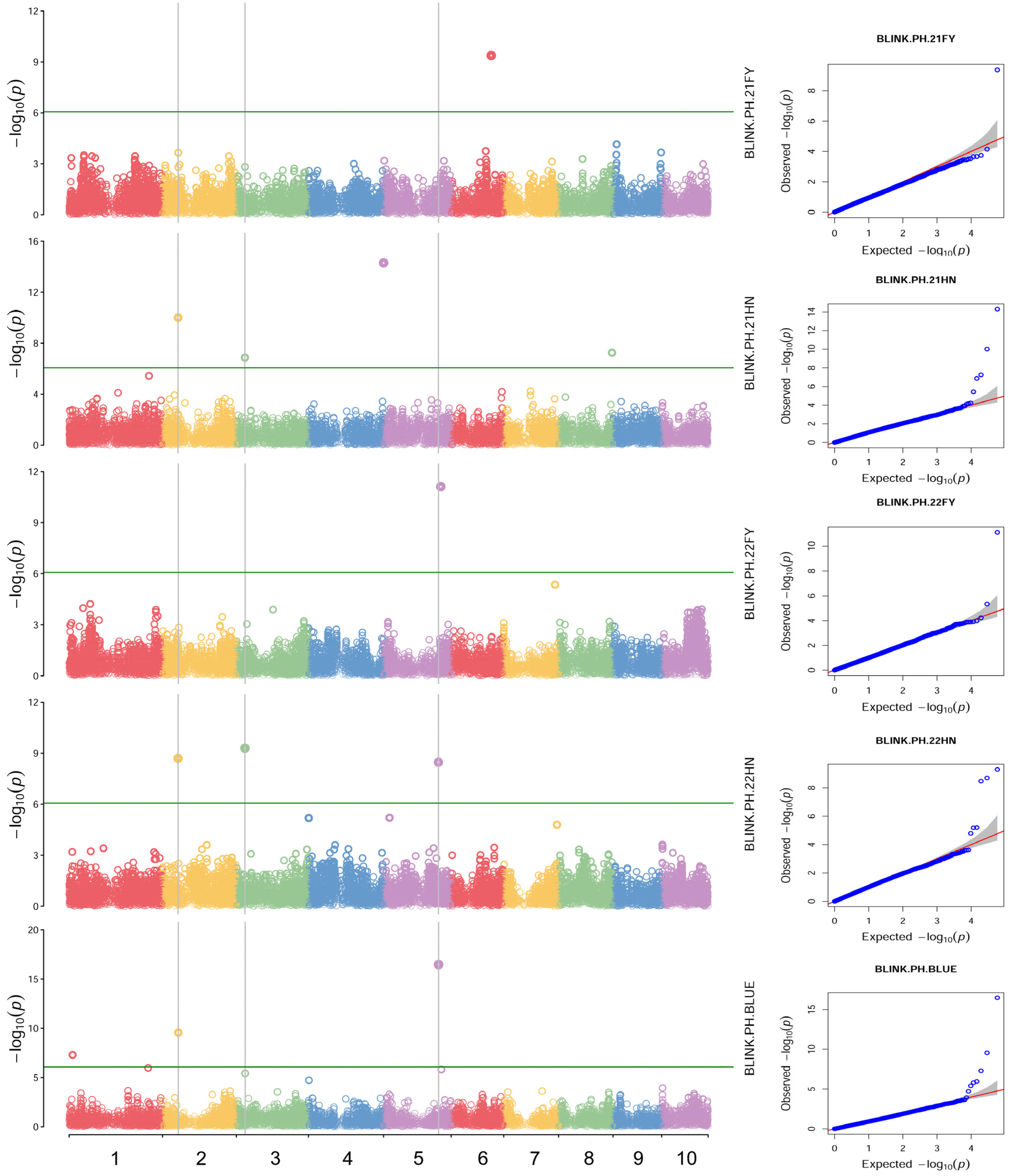 Plants 14 00481 g005 Plants 14 00481 g005