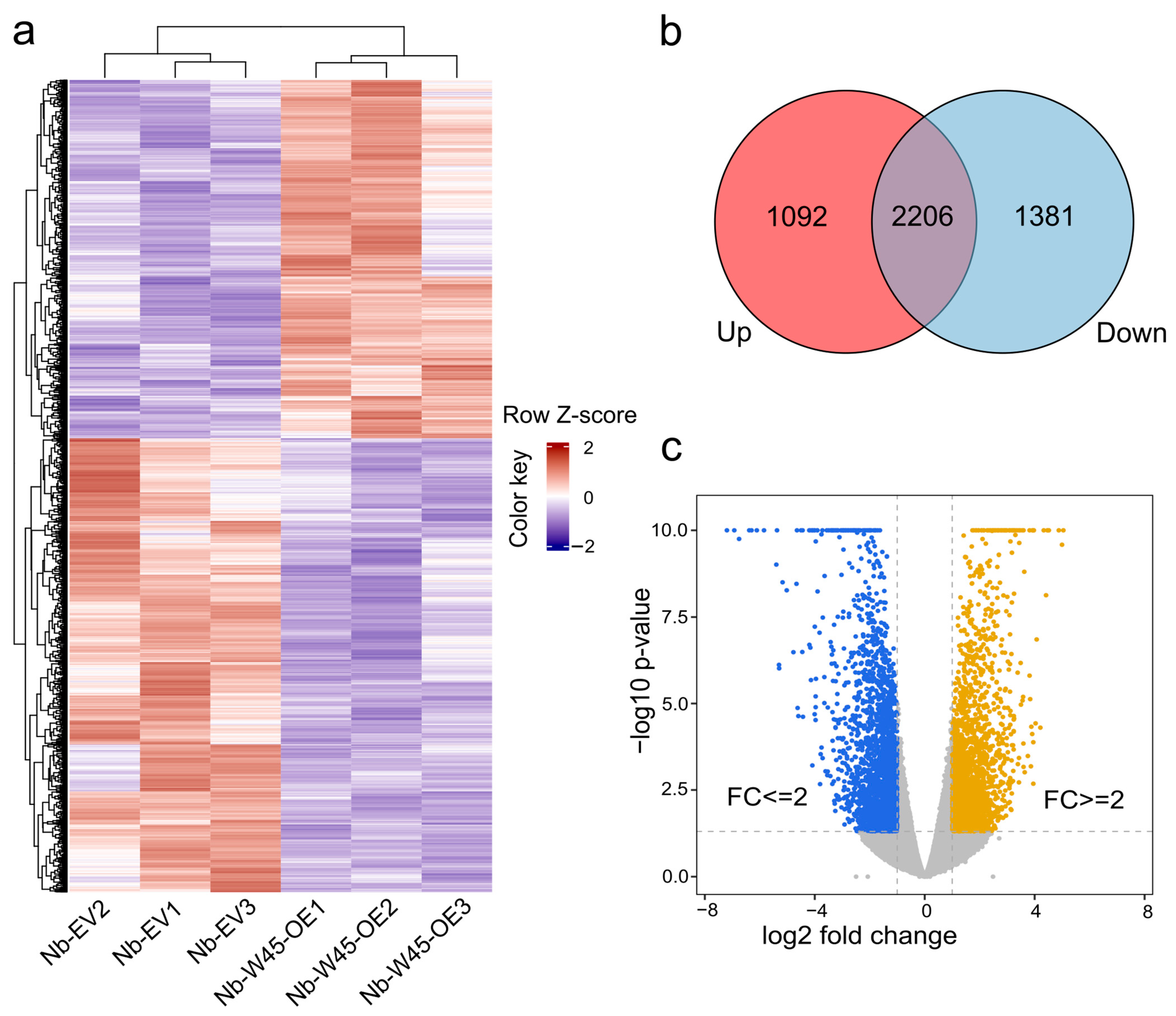 Plants 14 00483 g001 Plants 14 00483 g001