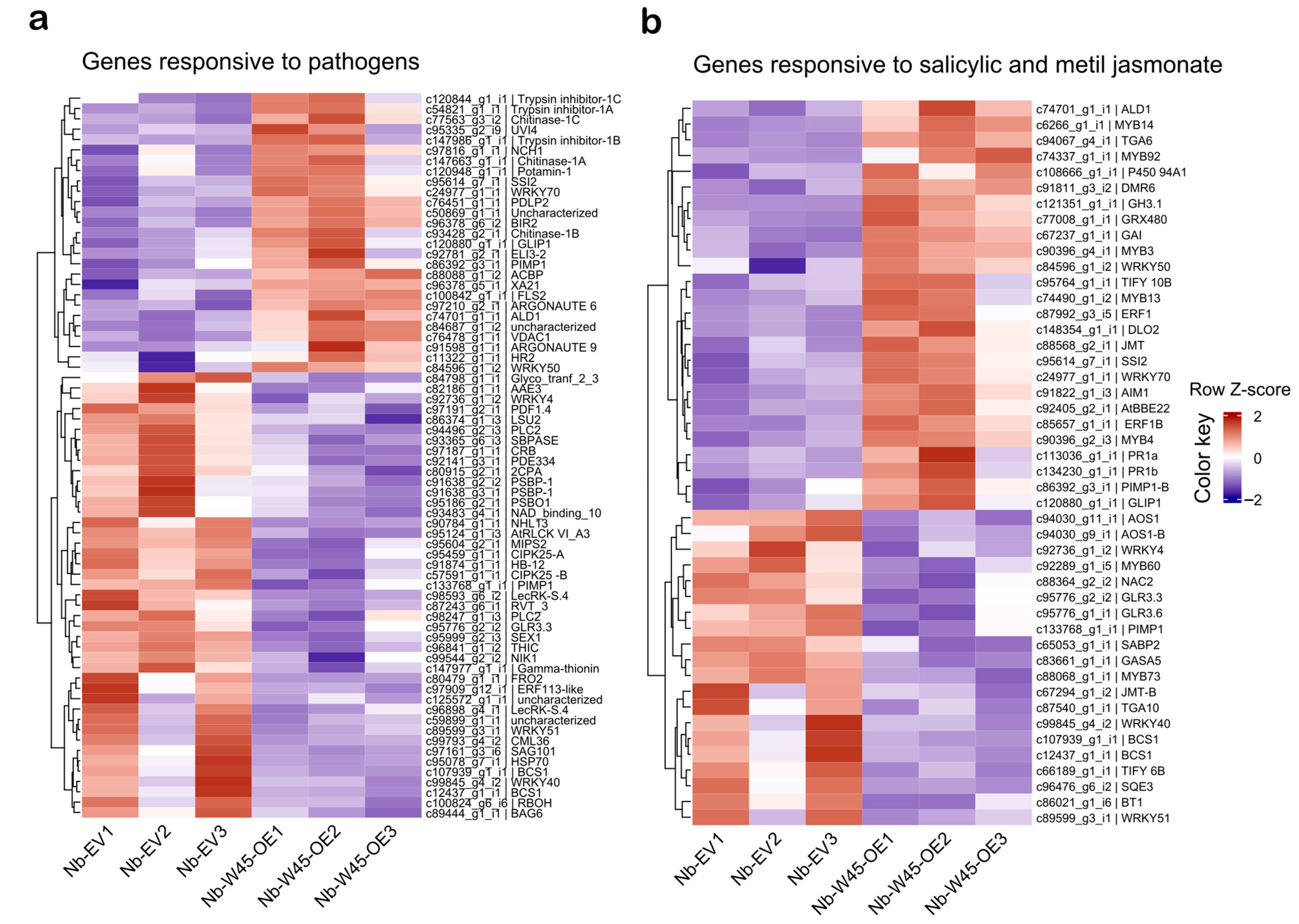 Plants 14 00483 g004 Plants 14 00483 g004
