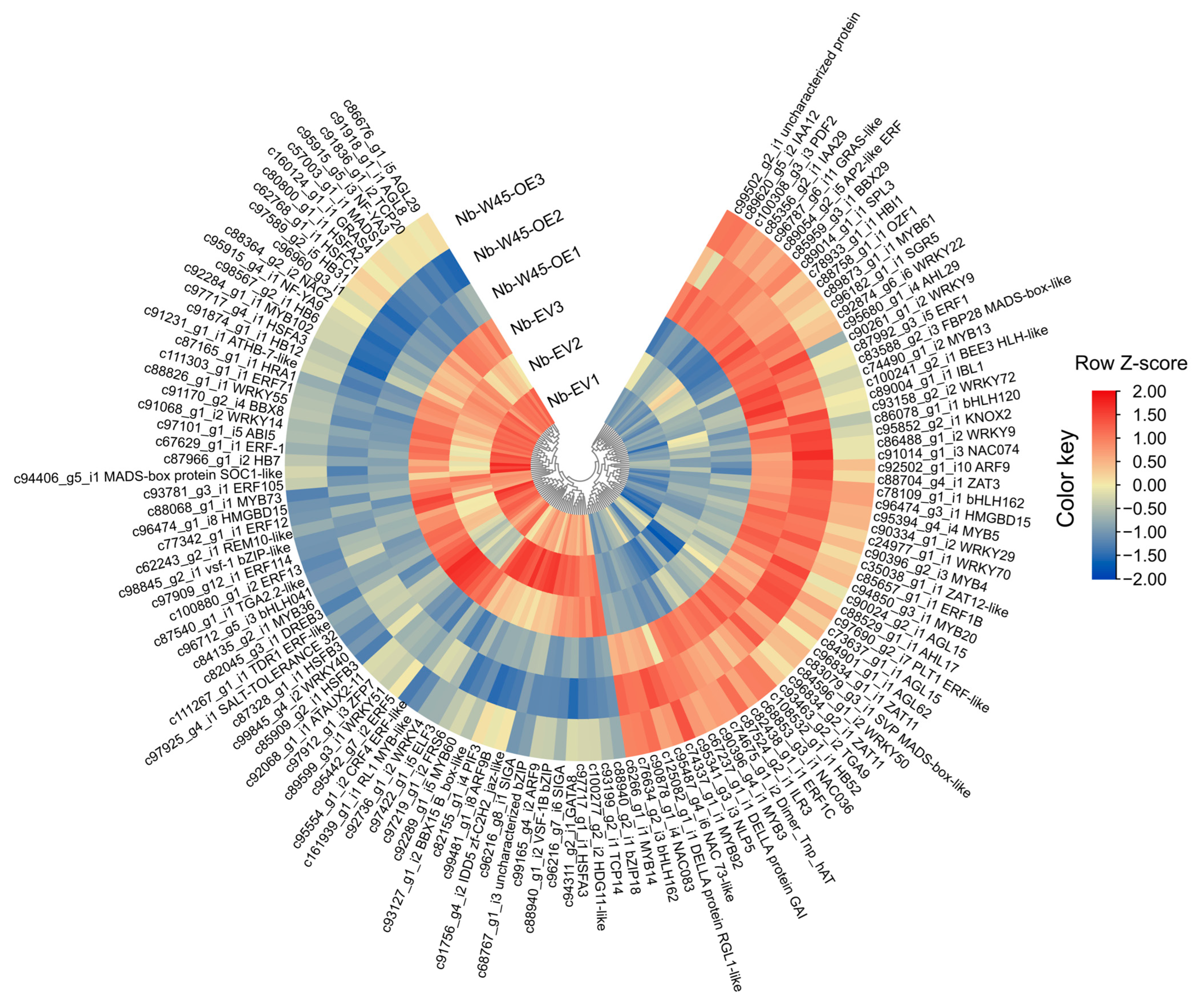 Plants 14 00483 g005 Plants 14 00483 g005