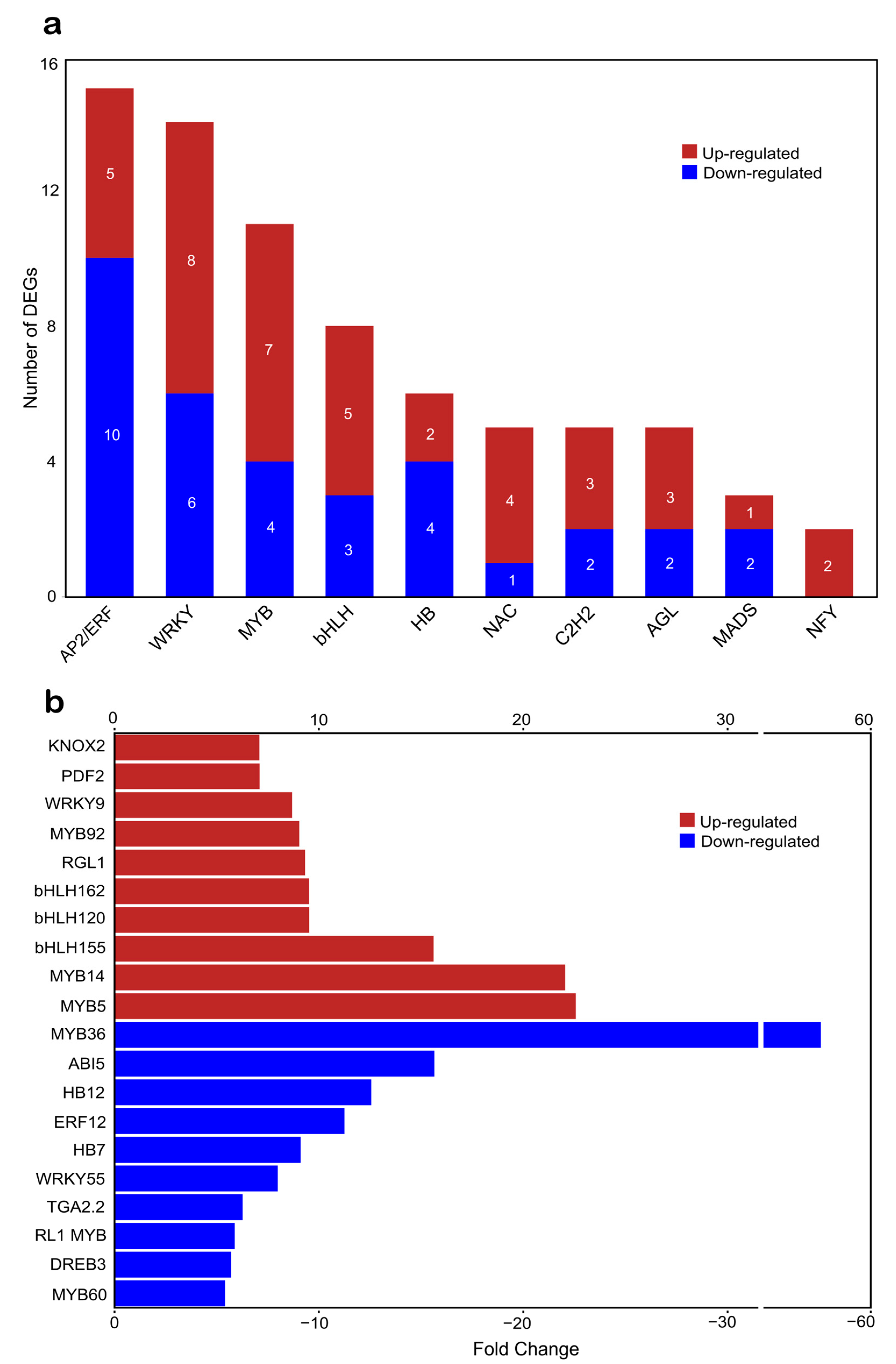 Plants 14 00483 g006 Plants 14 00483 g006
