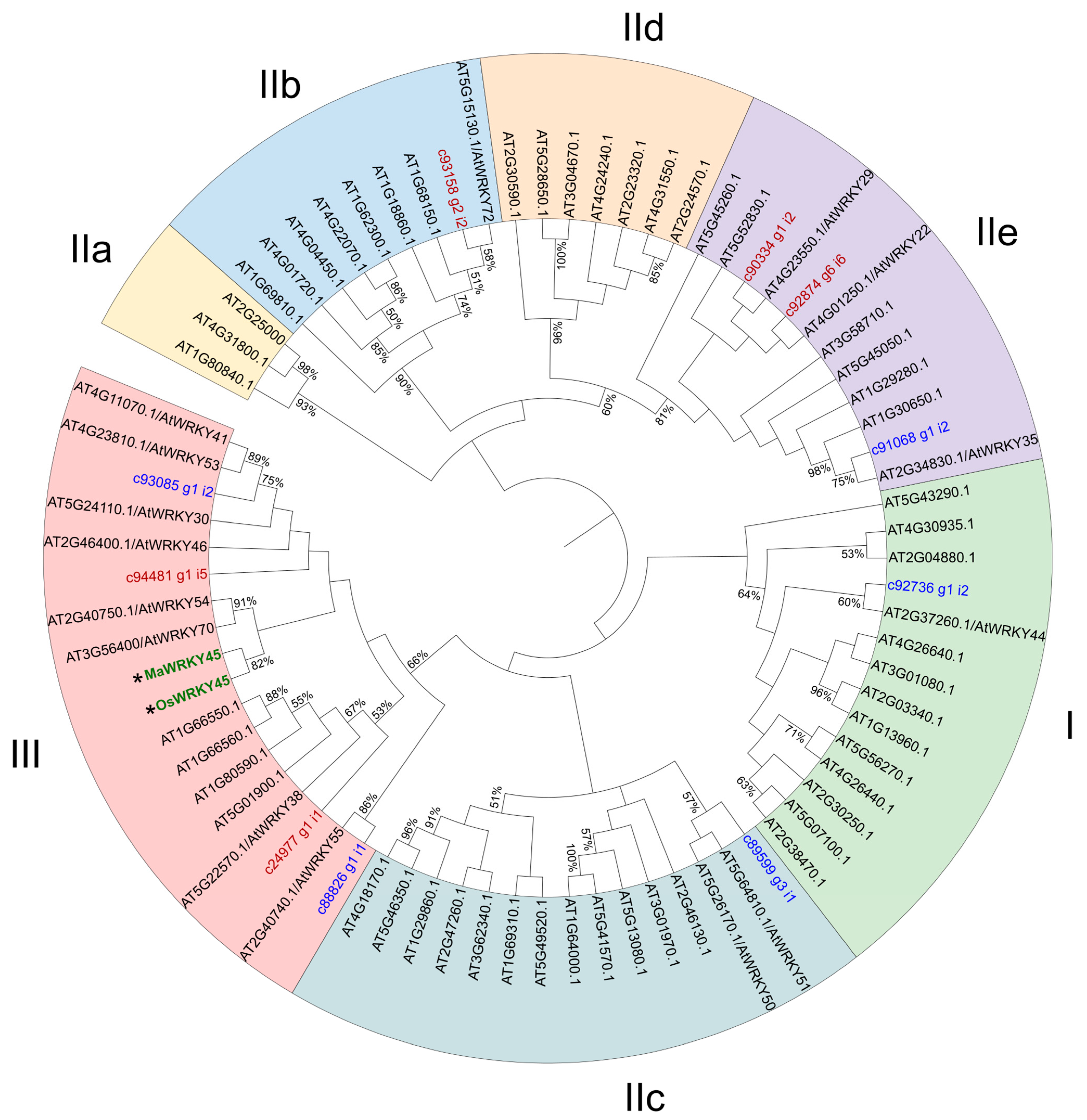 Plants 14 00483 g007 Plants 14 00483 g007