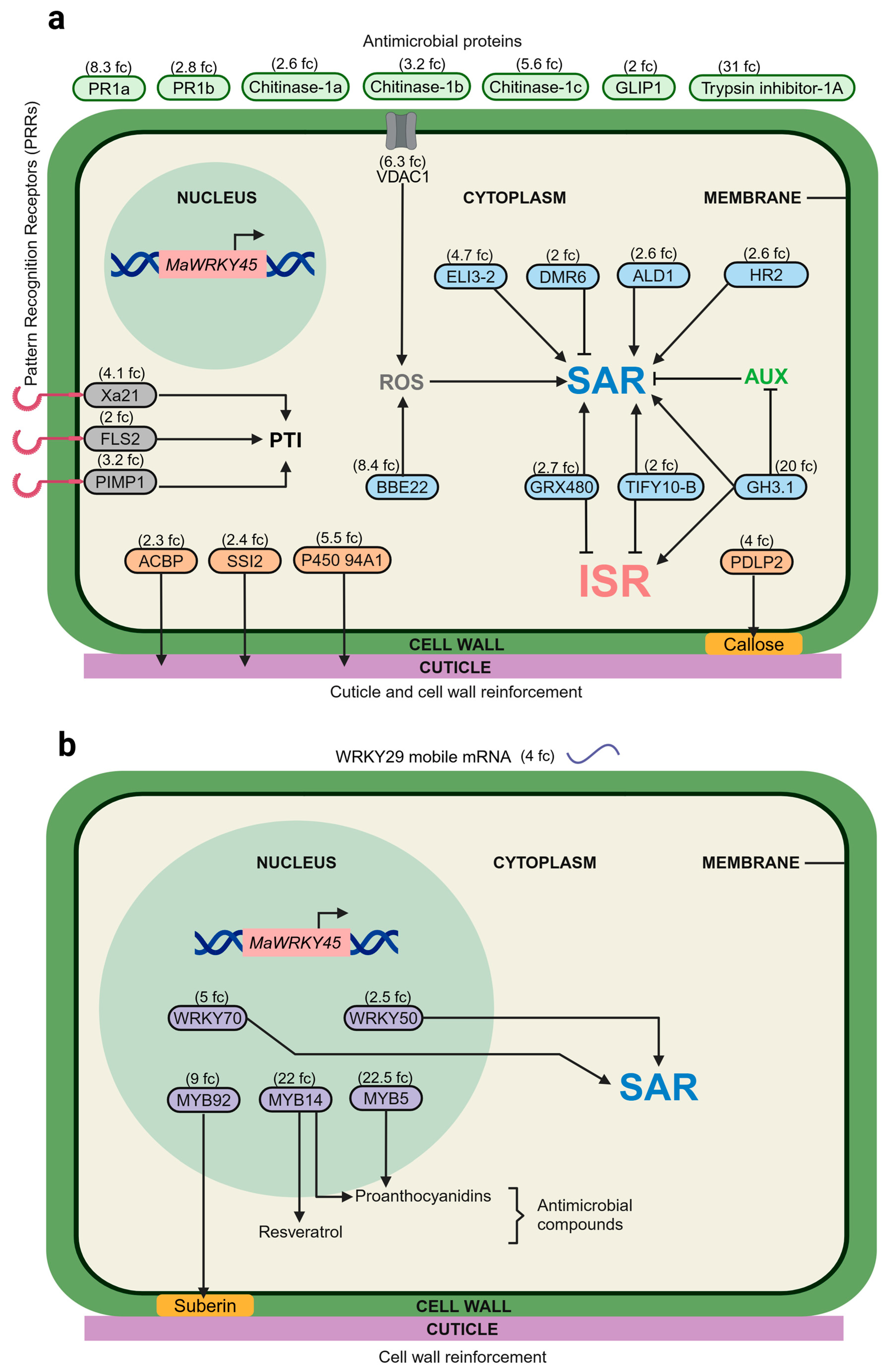 Plants 14 00483 g008 Plants 14 00483 g008