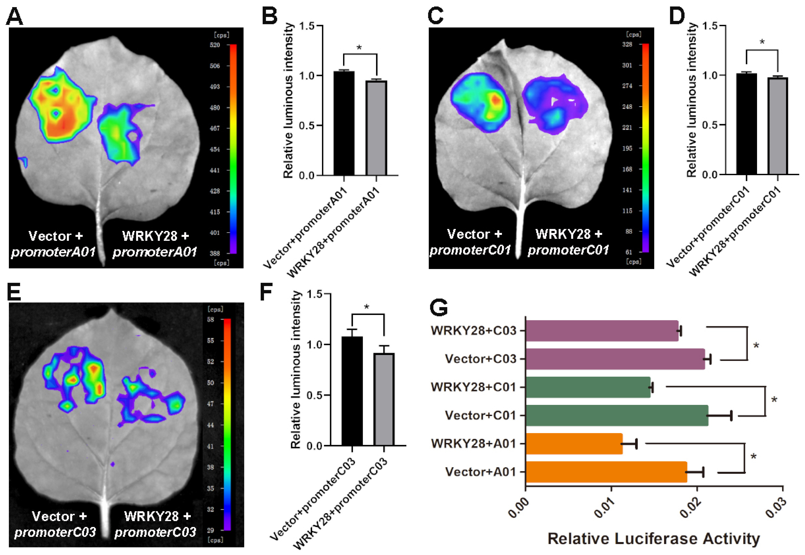Plants 14 00486 g004